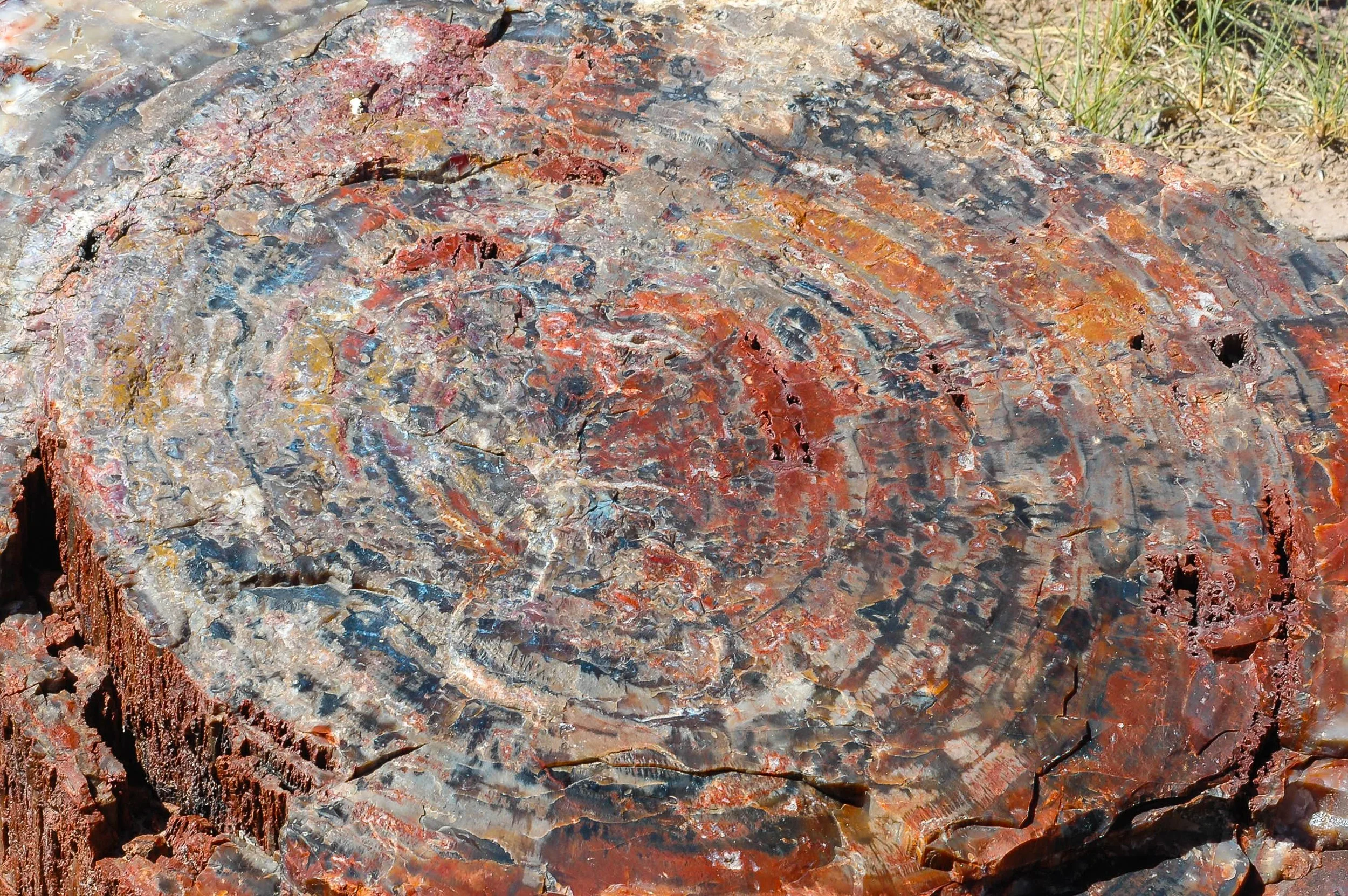 How I Came to Be Free