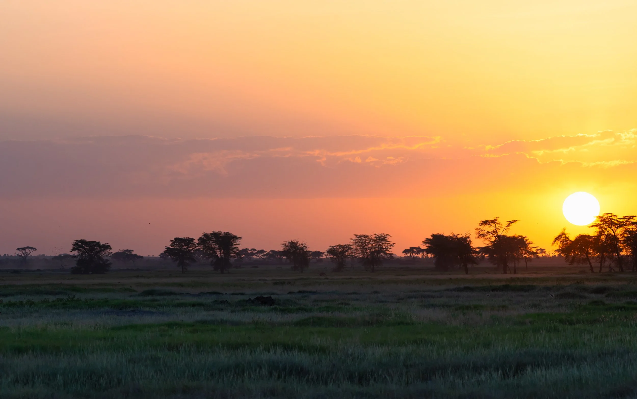 Patience Beholds the Dawn of Finer Things