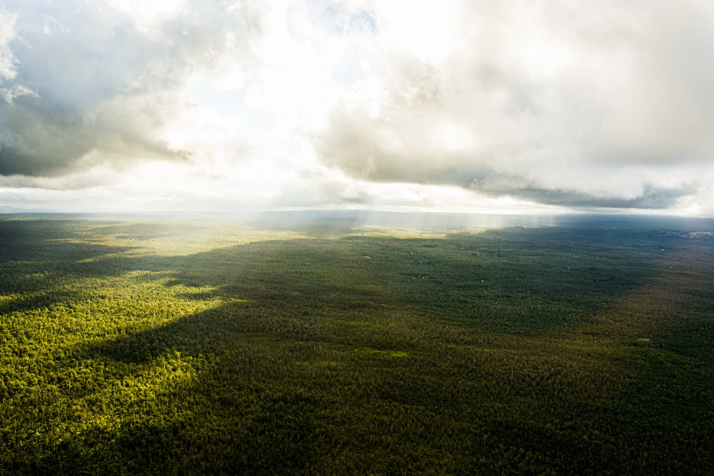line of crepuscular rays over Hawaii rainforest