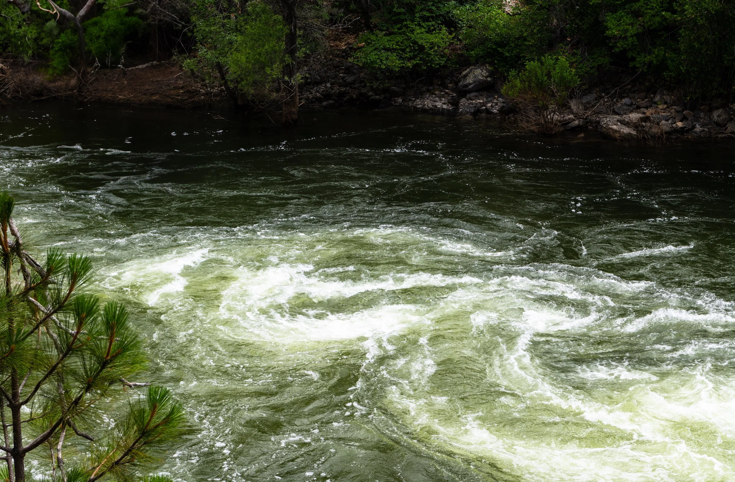 swirls in the Merced River in Yosemite