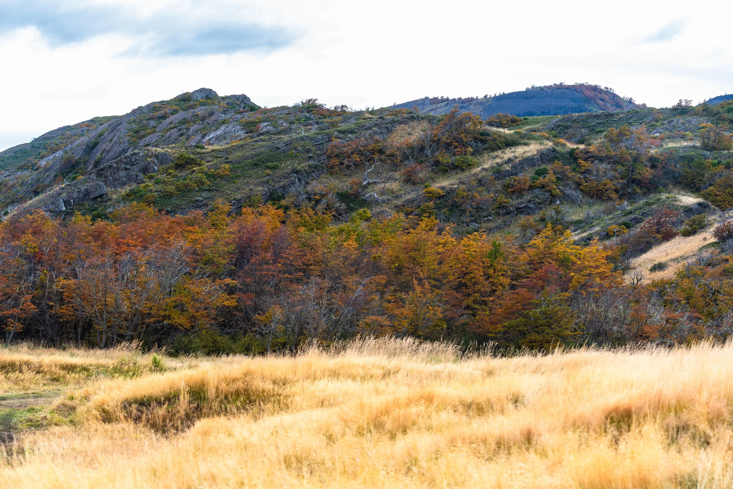 foothills of Torres Del Paine with golden grass  foreground
