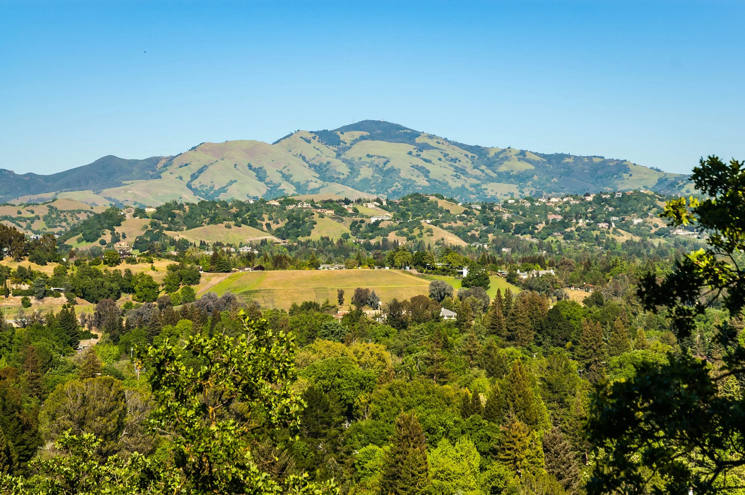 a view of Mt. Diablo from Ridgewood