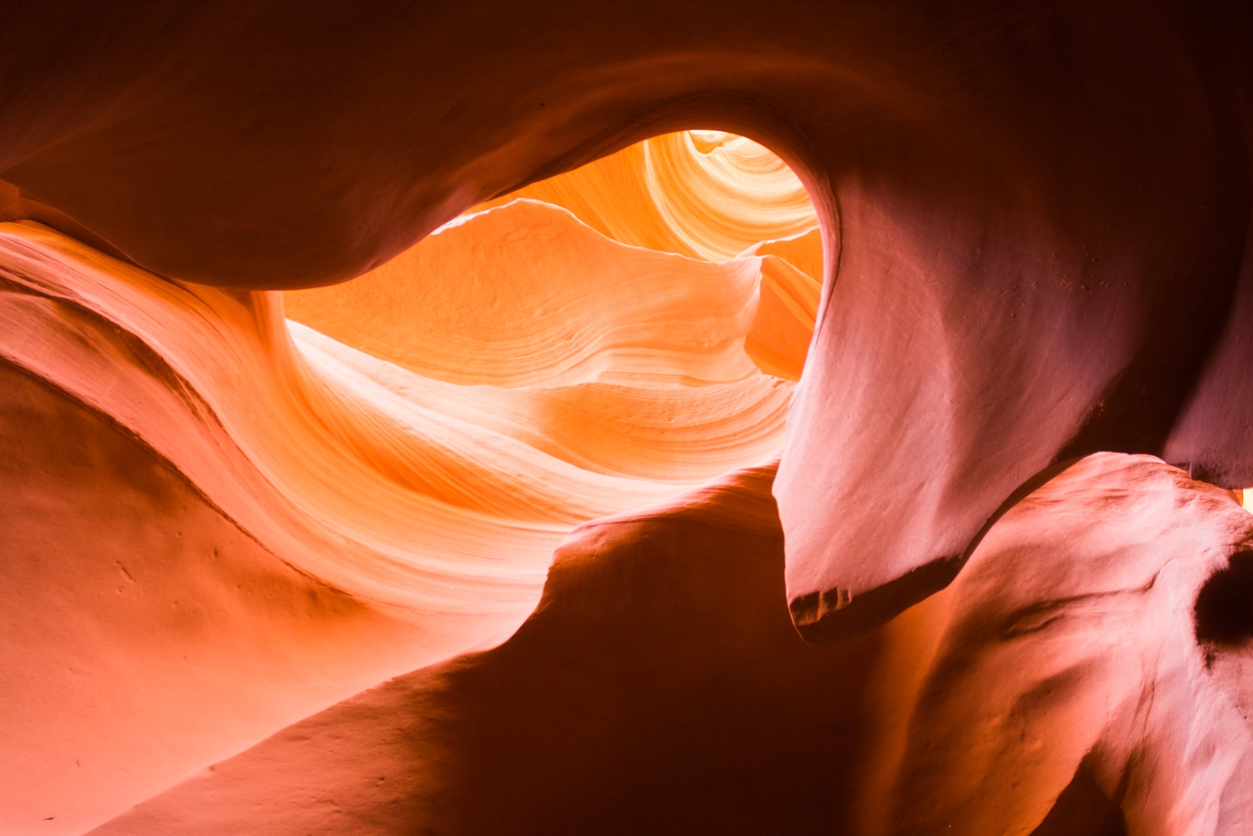 Lower Canyon image of a path into brighter sunlight