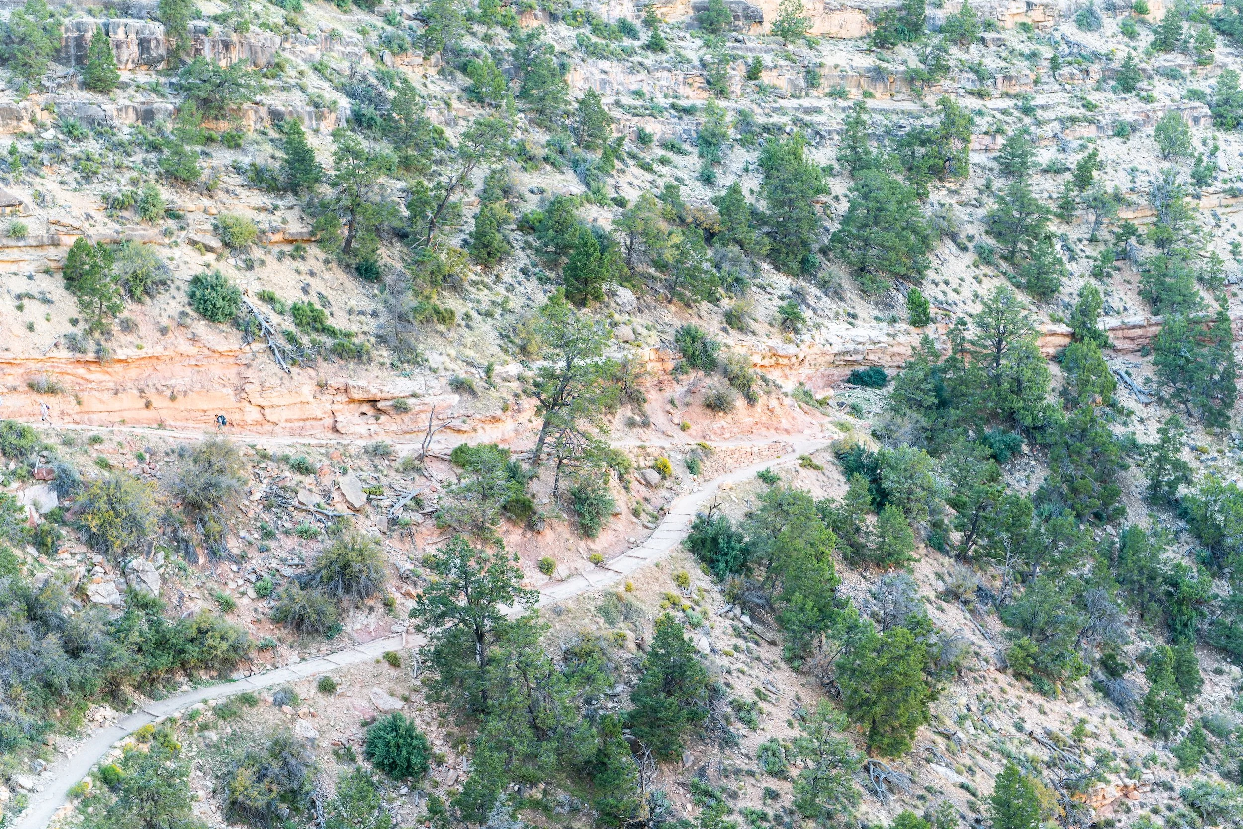 The long trail upward in the Grand Canyon.