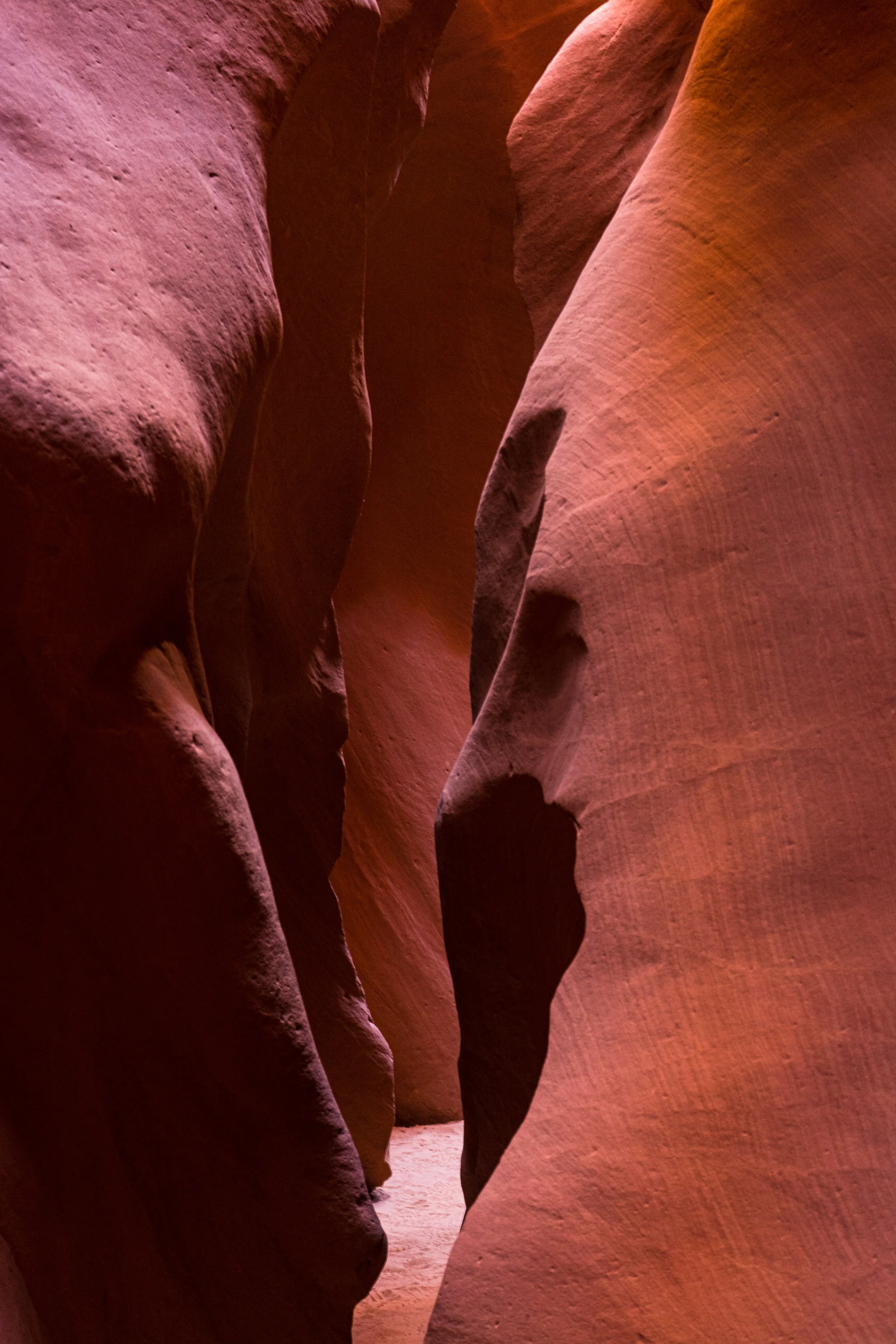 a path through Lower Canyon