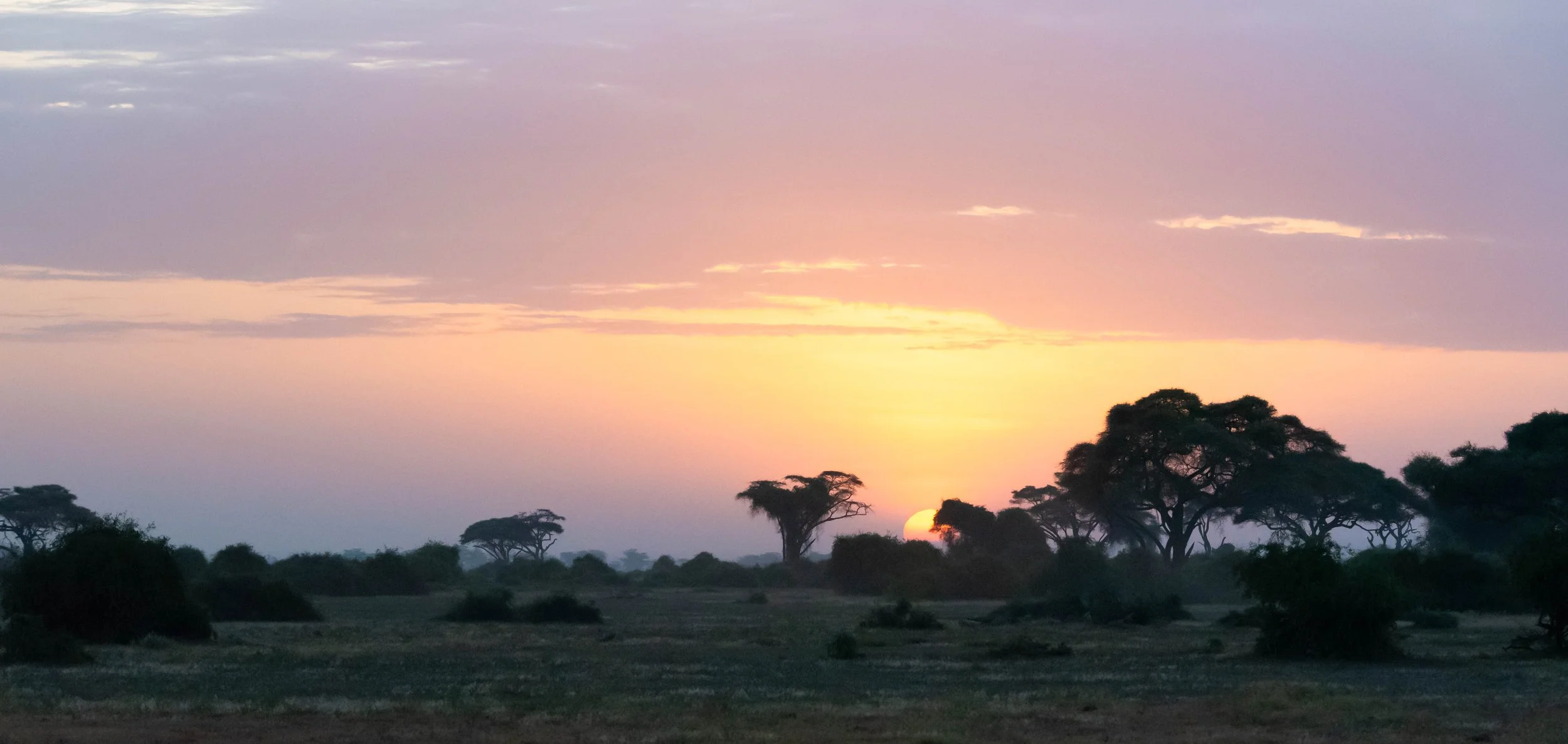 soft Amboseli Kenya sunrise