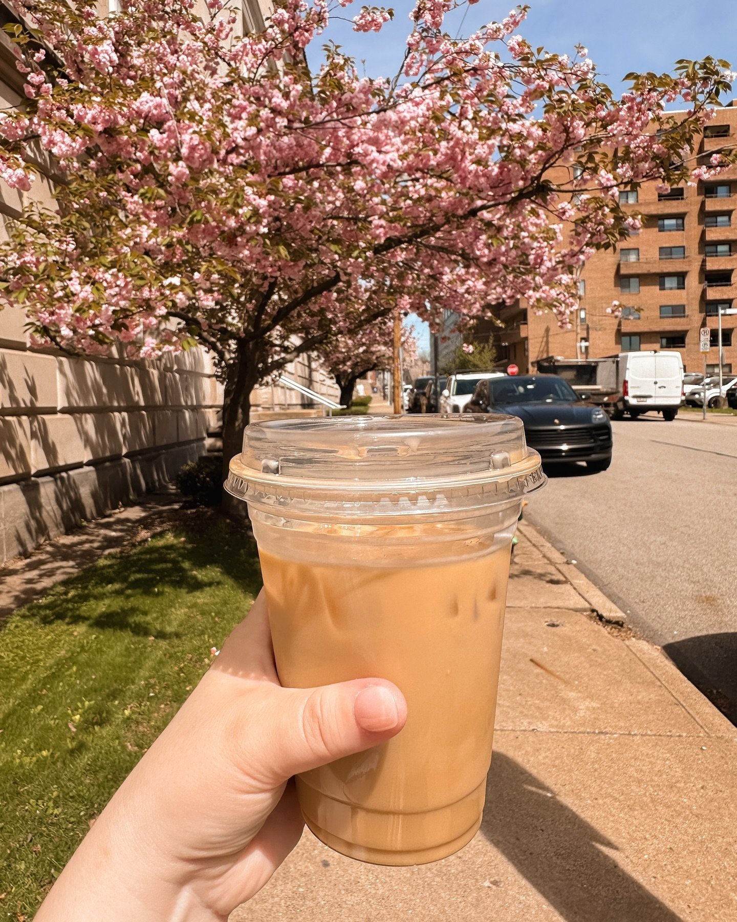 Spring is springing in Pittsburgh !!!!!! 

Got this banana shortbread cold brew special from @jitters.pgh &amp; oh. my. god. it&rsquo;s so delicious I cannot even describe. 

100000/10 would recommend &amp; think everyone should RUN to get one 🍌