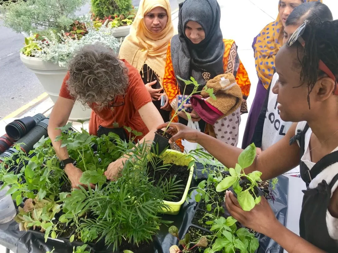 June 2019 planting workshop with Sue Braverman – pot and take home edible plant seedlings from cultures around the world!