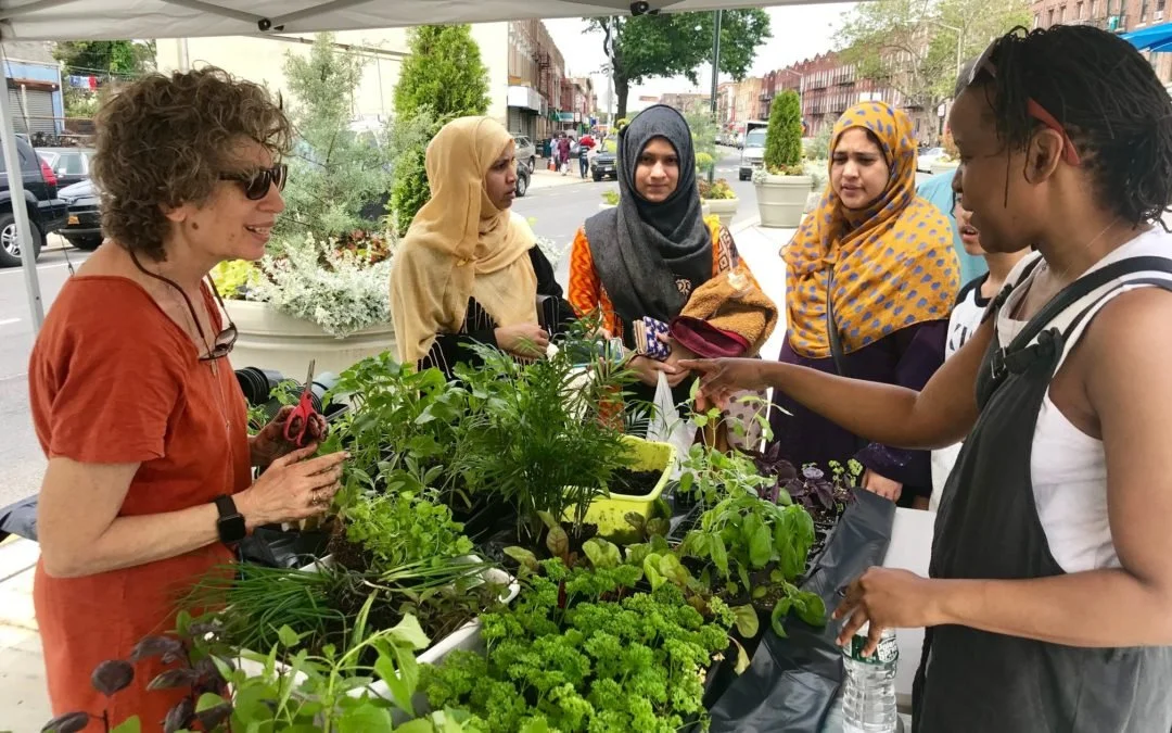 June 2019 planting workshop with Sue Braverman.