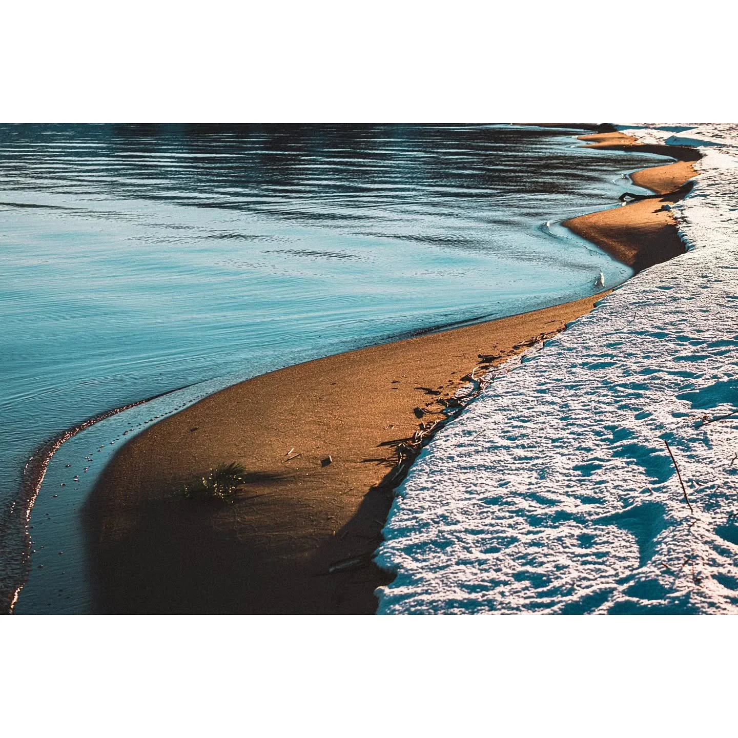 Invasions

#photo #photooftheday #winter #nida #sand #water #snow #color #photography #lines #border #transition