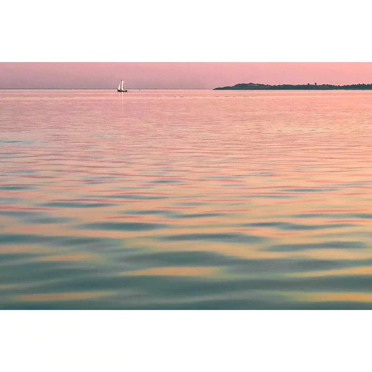 The fool in distortion 

#hometown #lagoon #last #summer #evening #pinkhour #bluehour #water #sails #dunes #warm #weather #color #waves #photography #shotononeplus #oneplus12