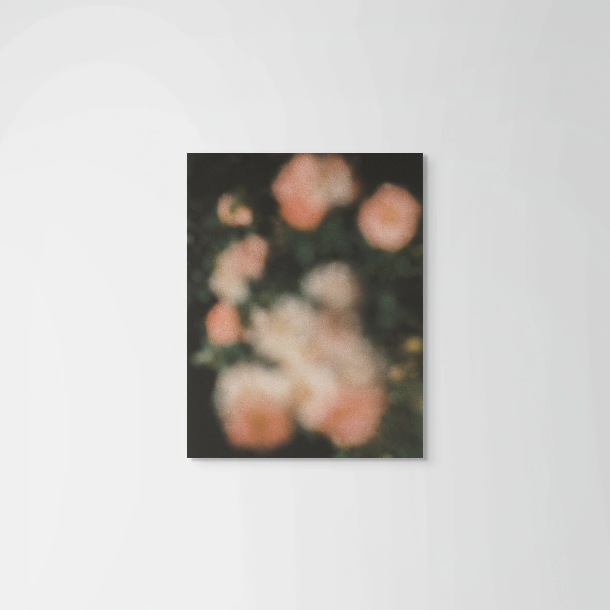 briefly gorgeous 504-full.jpg