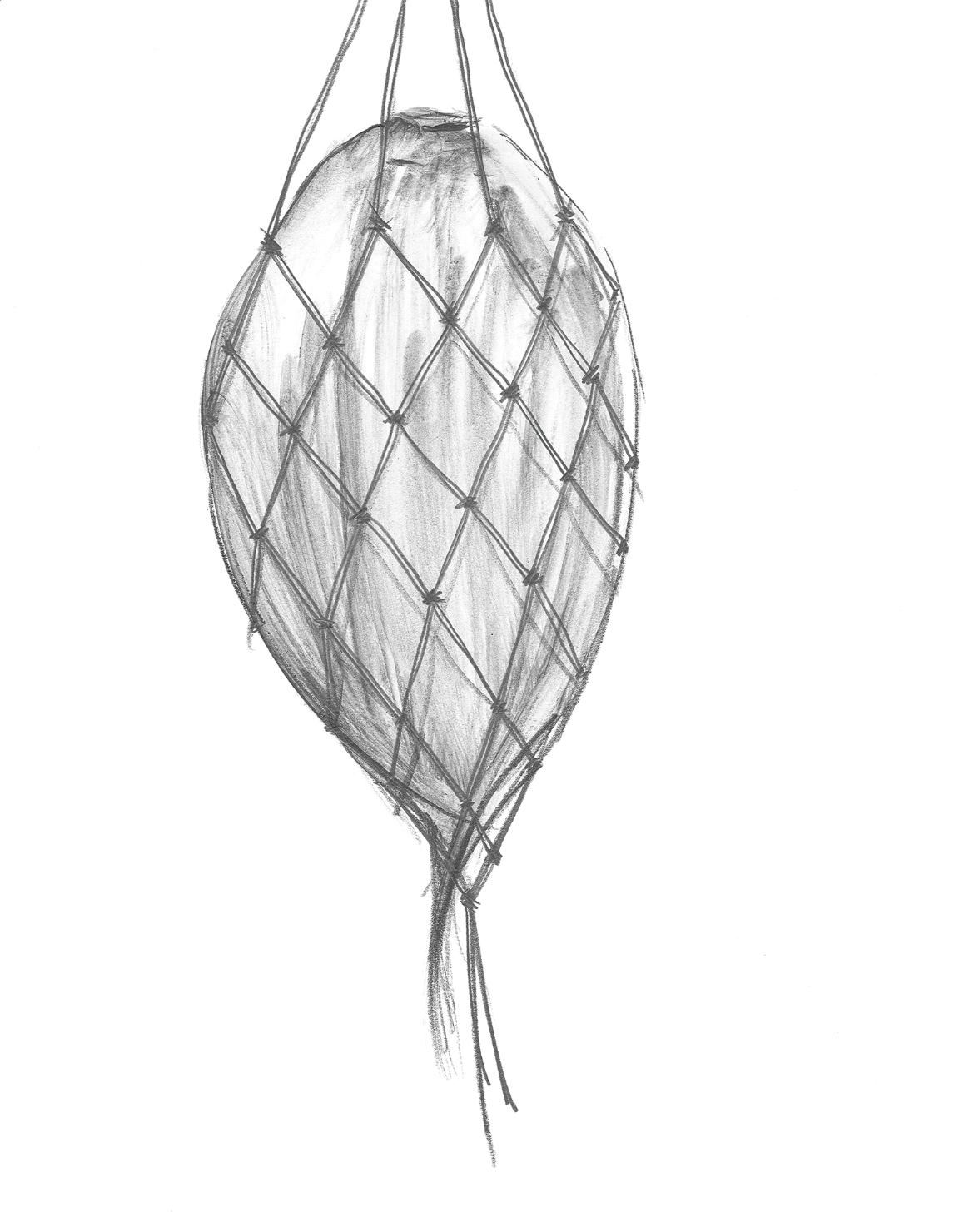 Screenshot 2024-07-02 at 4.41.14 PM.png