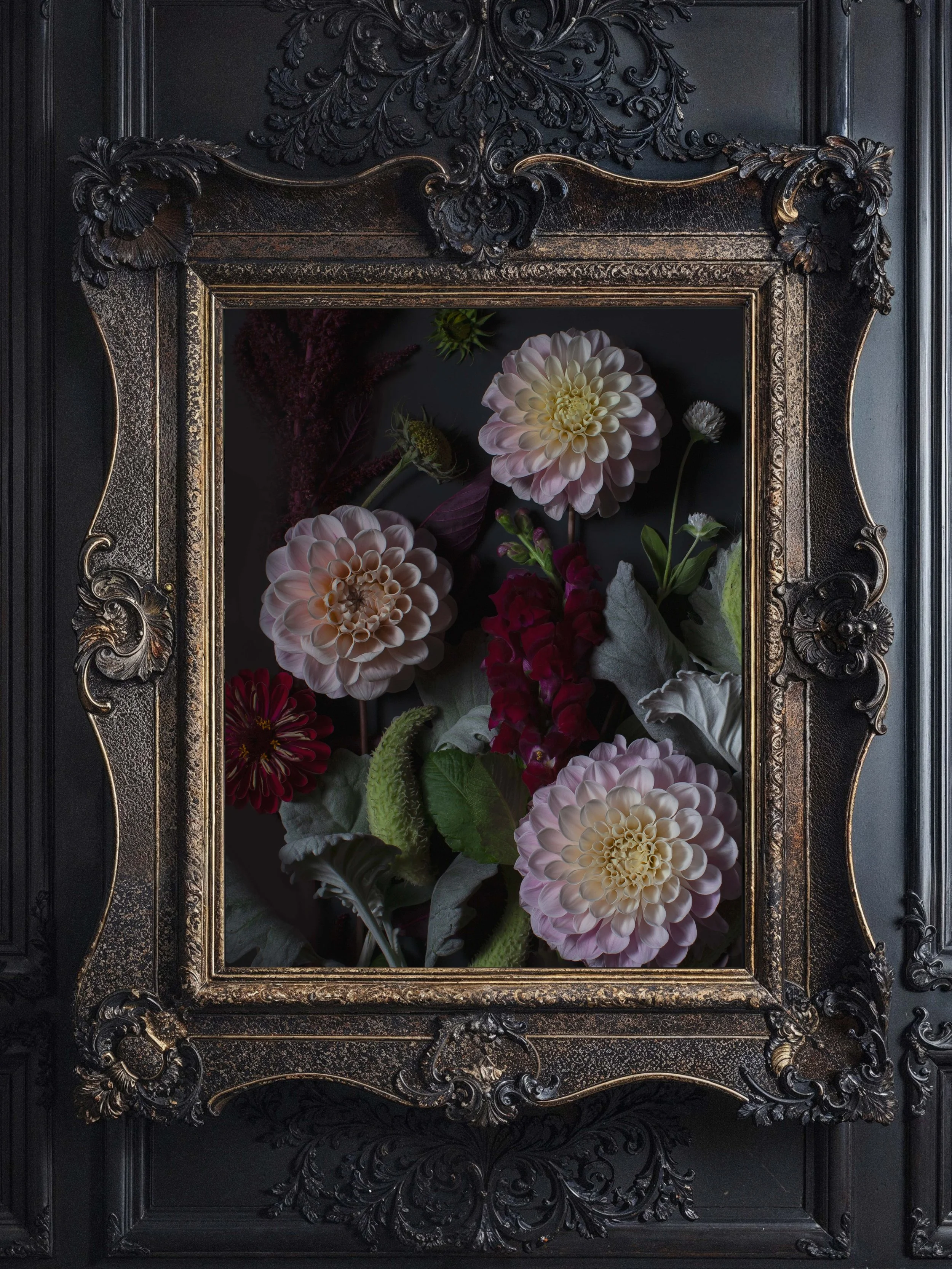 PinkDahlia-framed.jpg