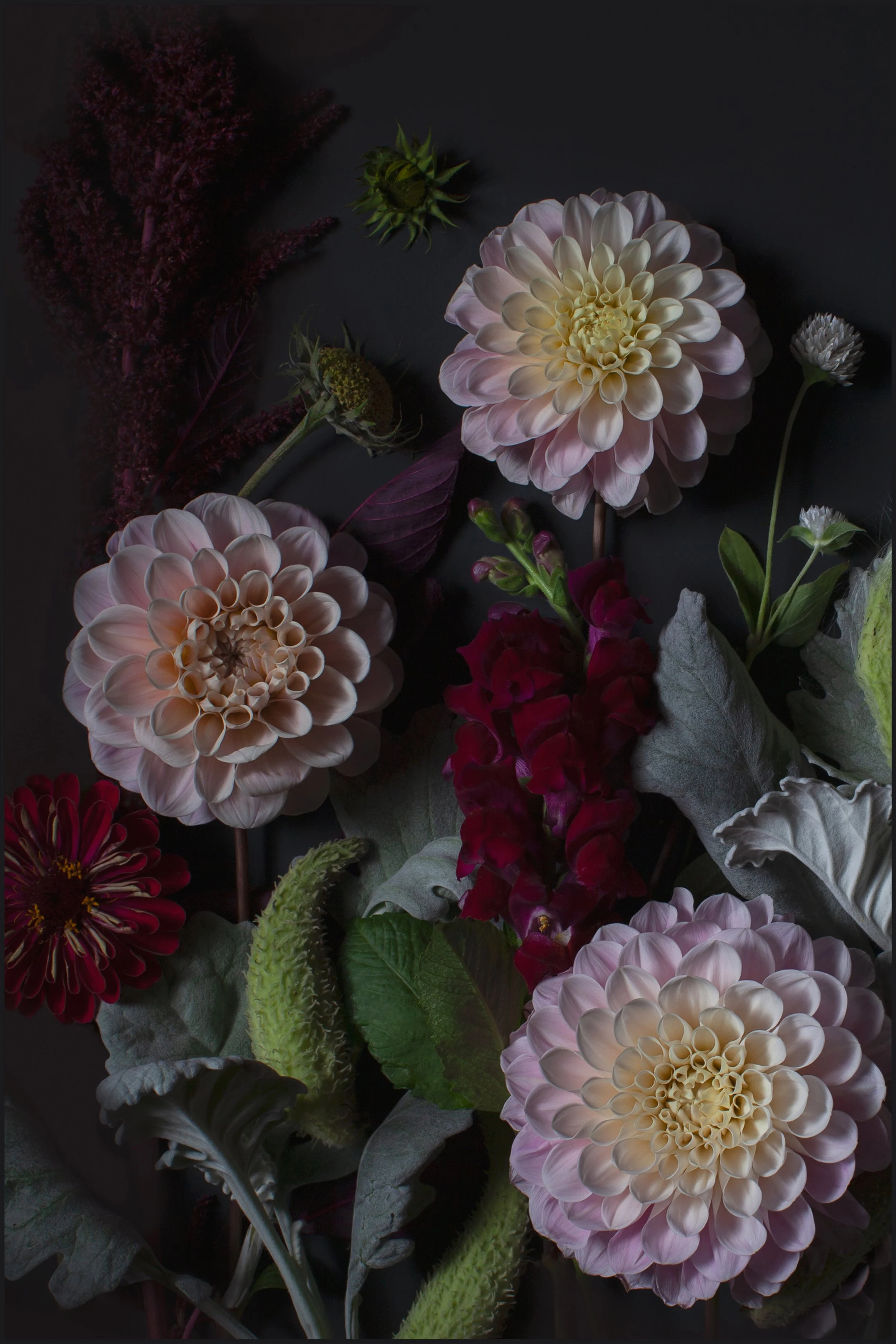 20x30_PinkDahlias.jpg