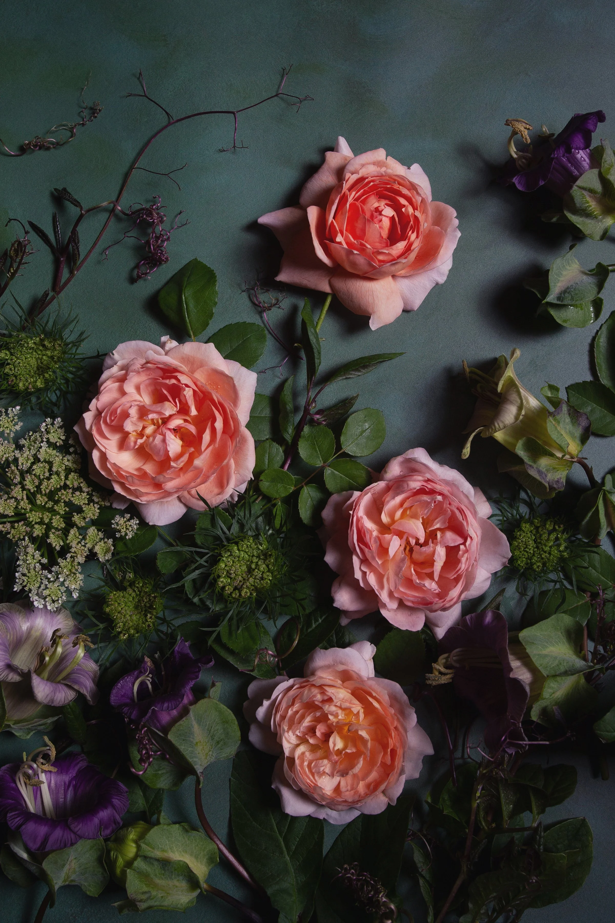 Roses_8x12_v2.jpg