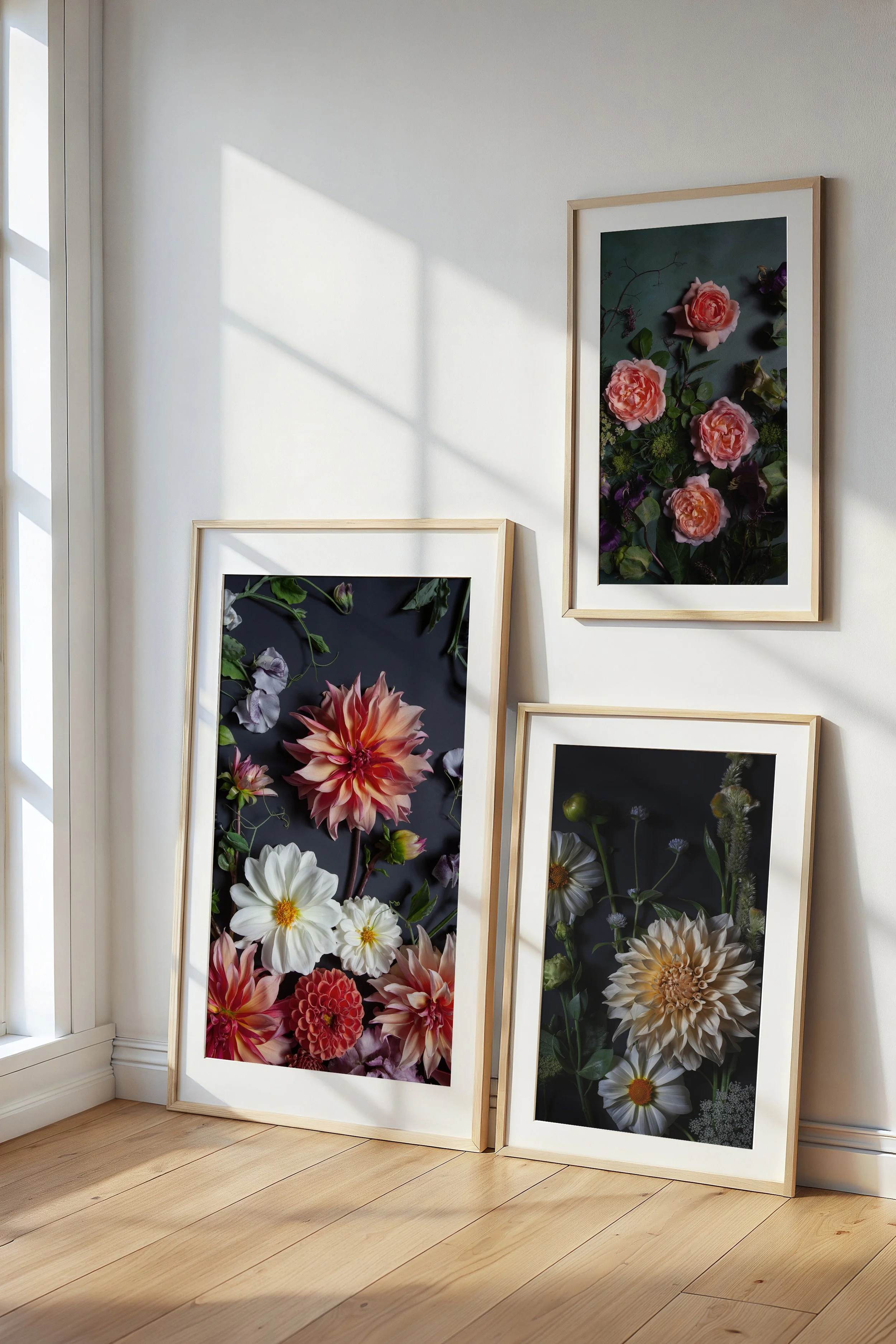 Three framed floral photographs leaning against a white wall near a window with sunlight streaming in. The images feature various flowers against dark backgrounds.