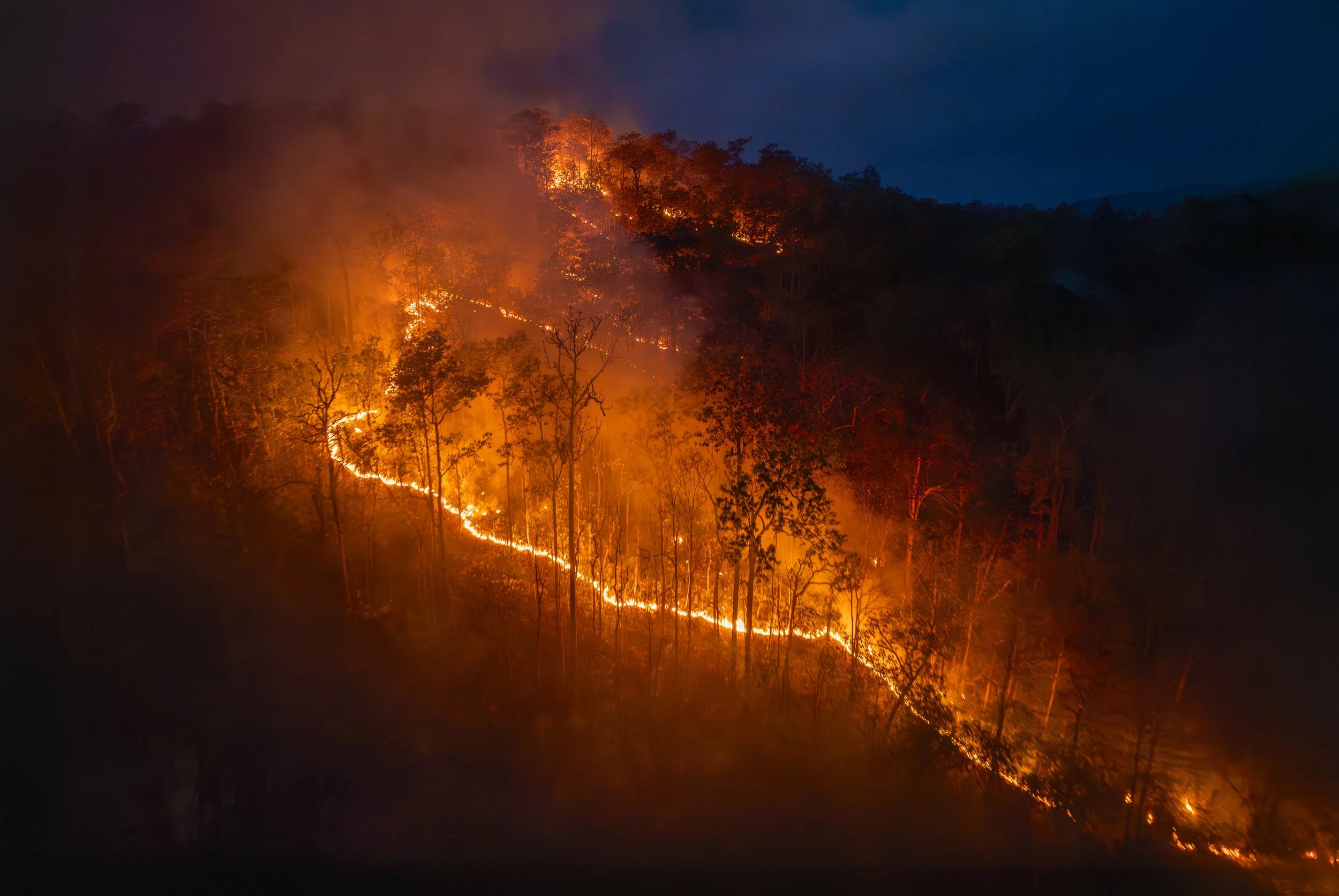 Streamlining Wildfire Risk Reduction in California: CalVTP and the Governor’s 2025 Emergency Proclamation