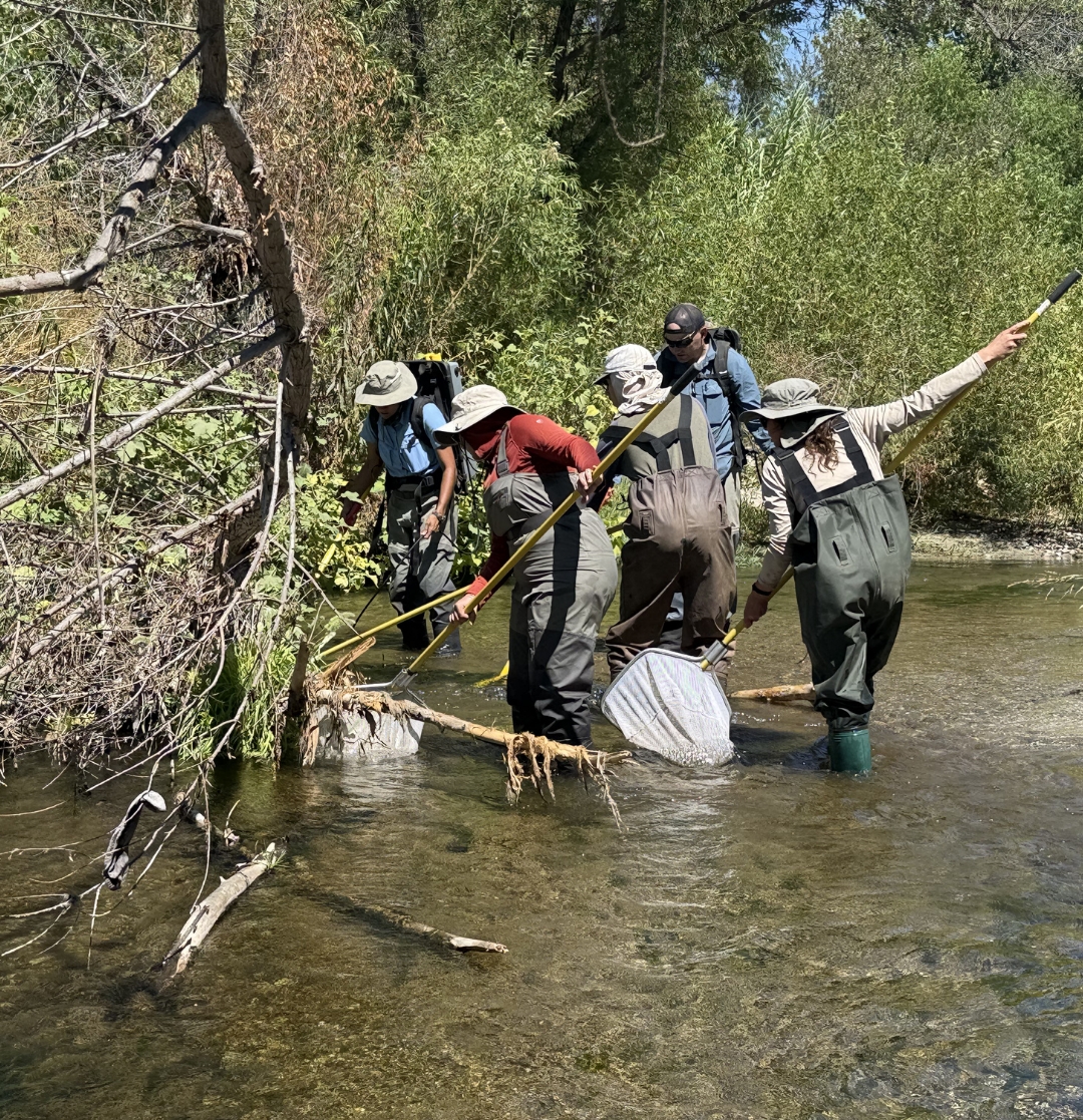 Aspen’s 2025 Volunteer Challenge Recap