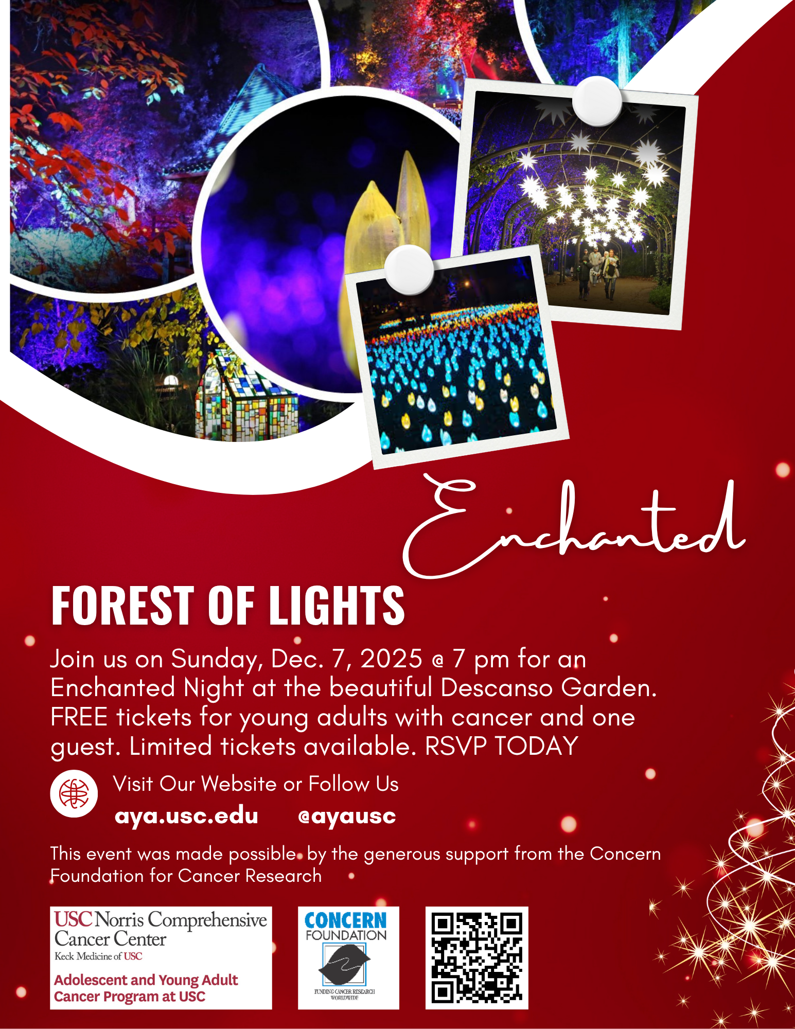 Enchanted Forest of Lights