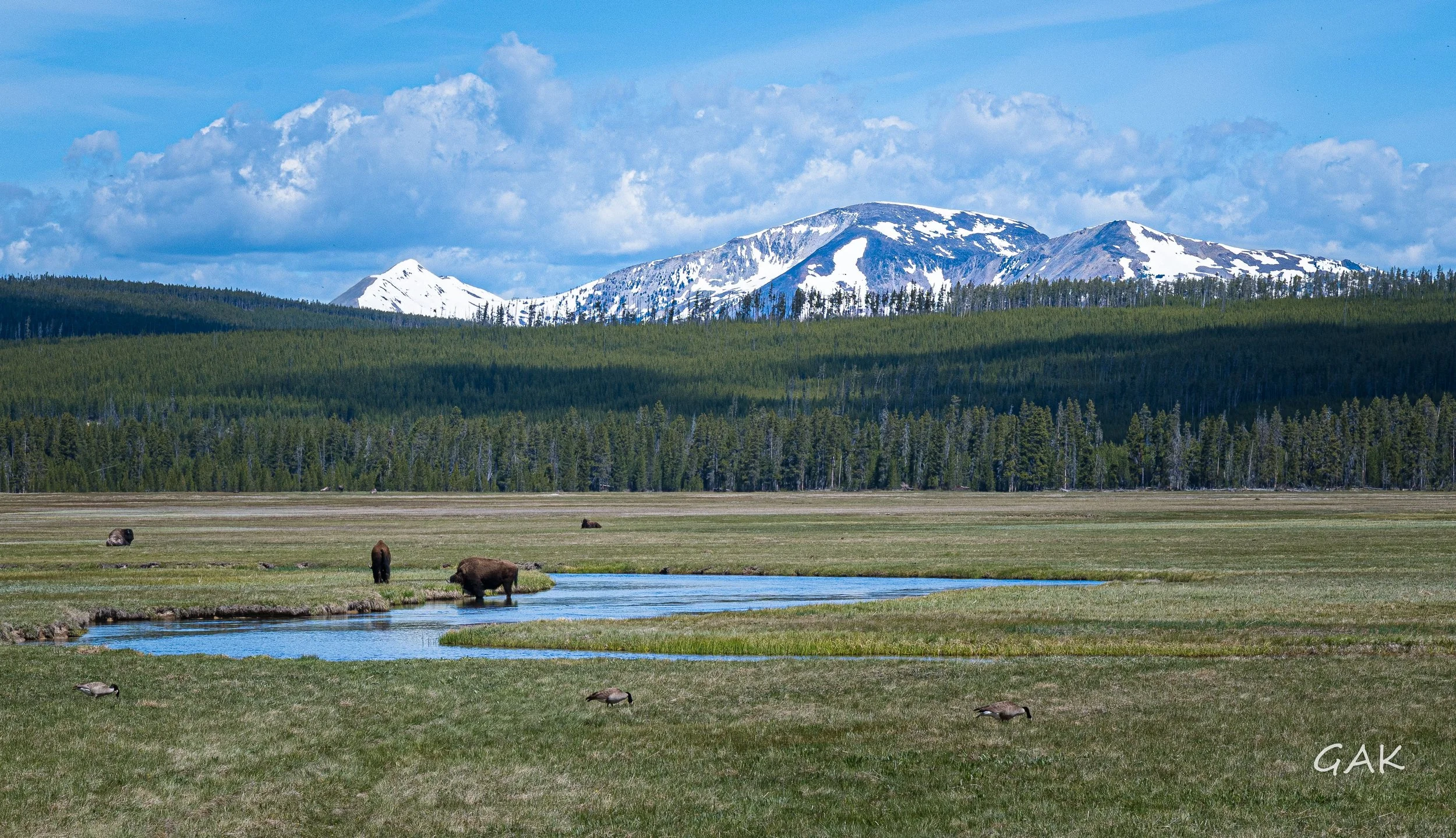 _DSC8539.jpg