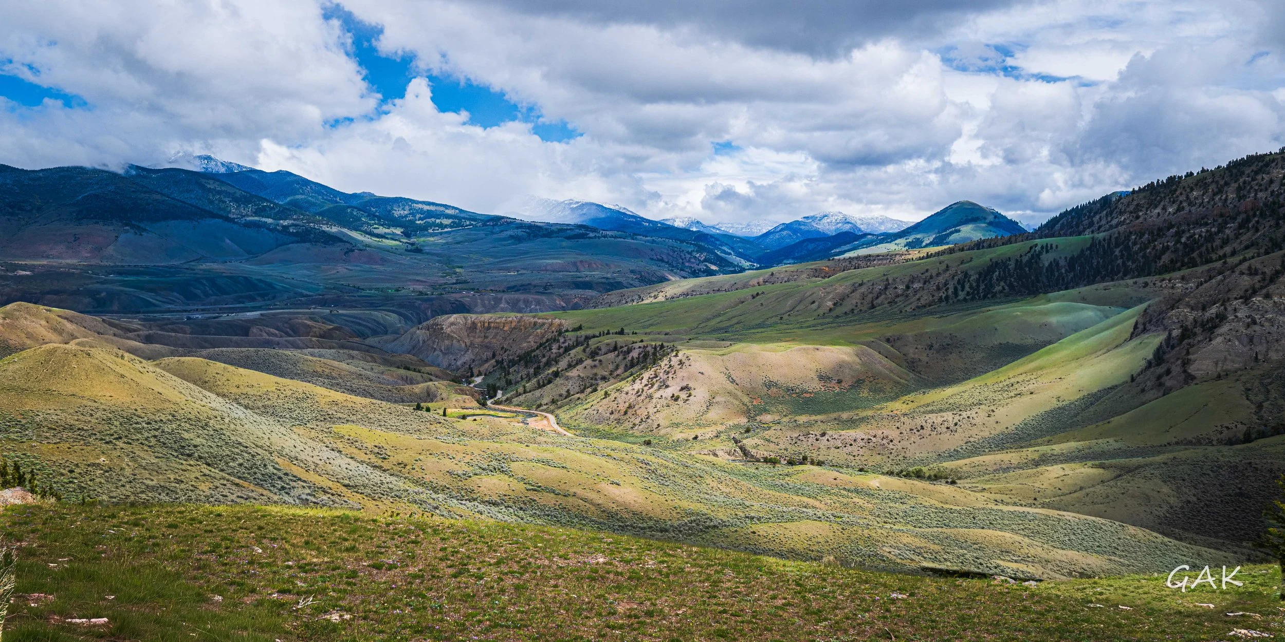_DSC7929.jpg