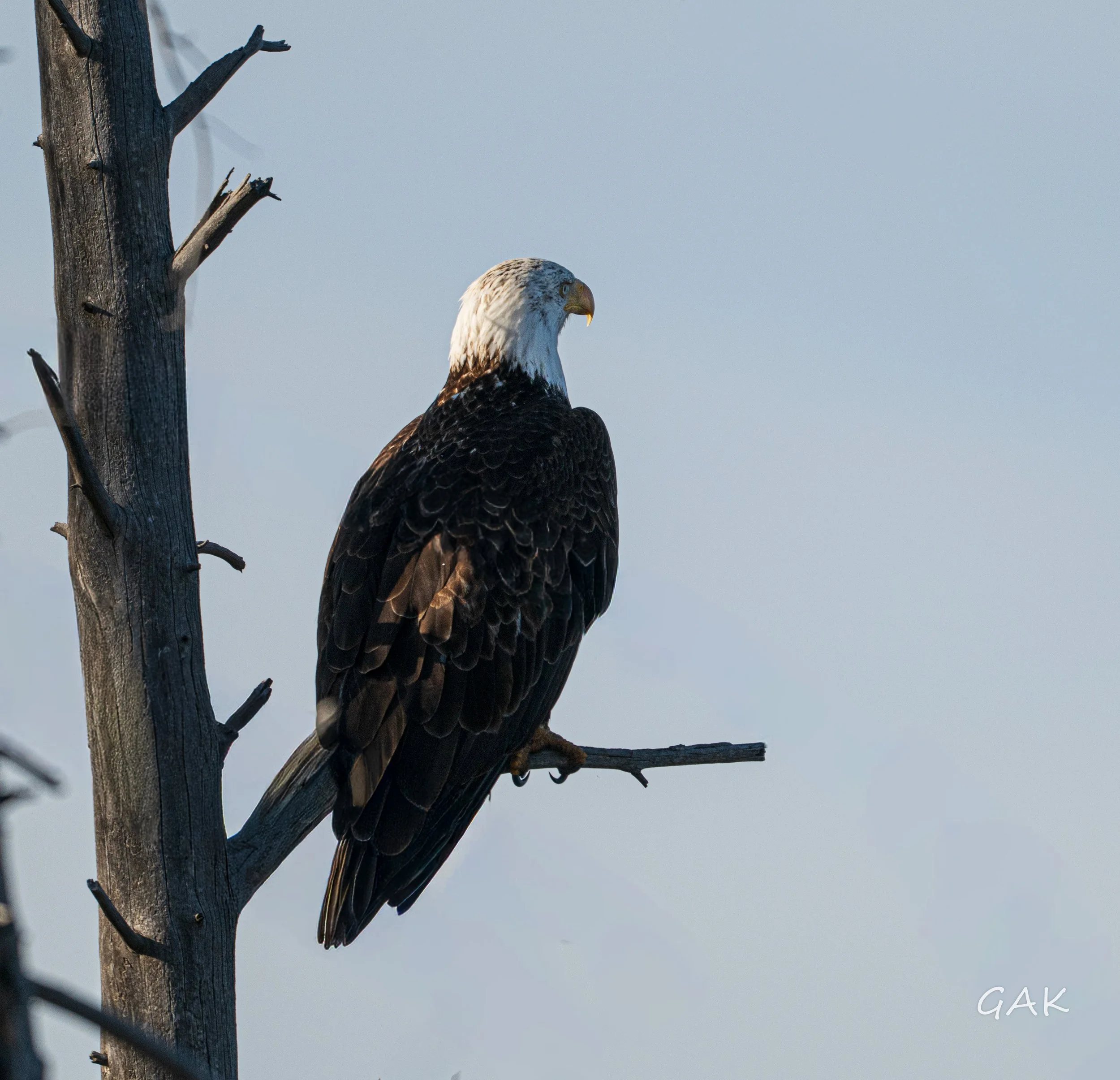 _DSC9022.jpg