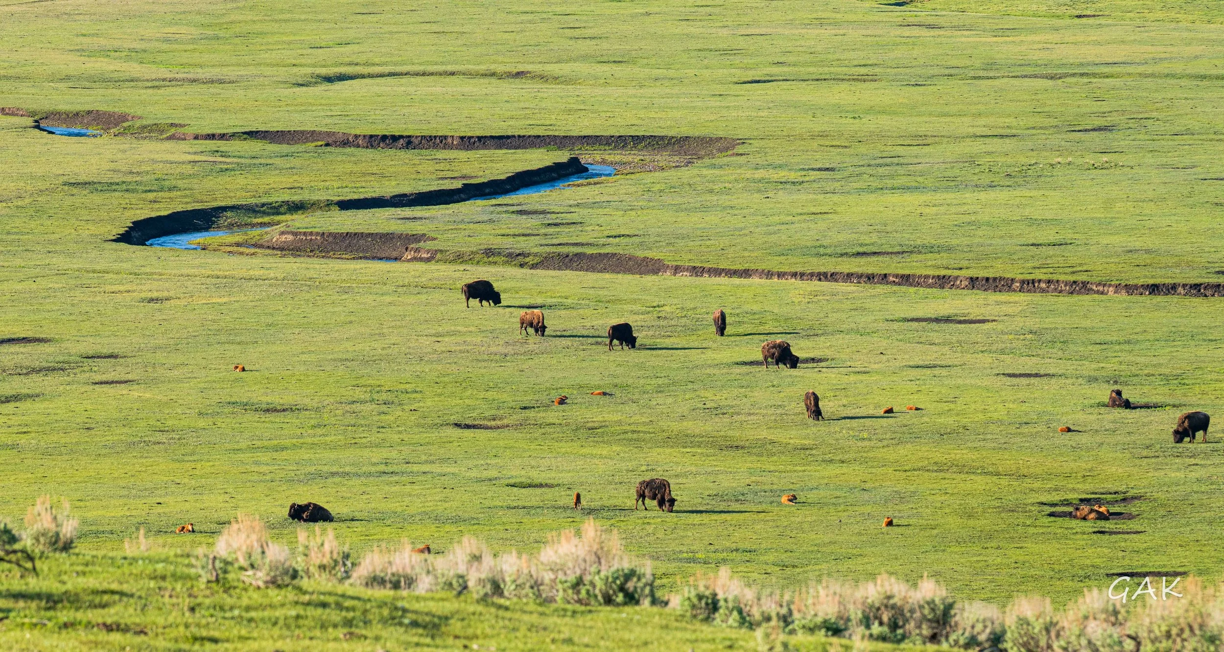 _DSC8828.jpg
