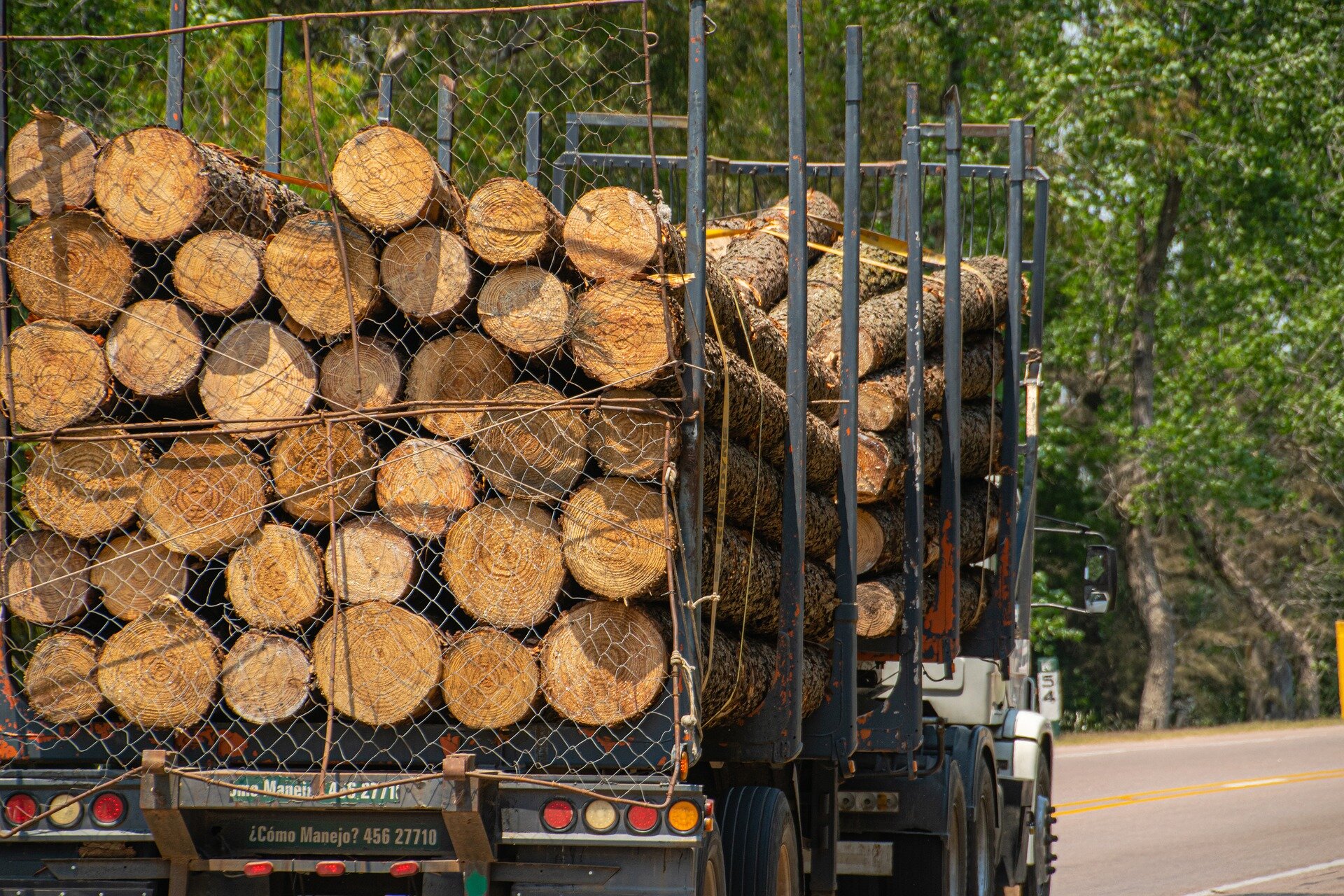 Forest Products