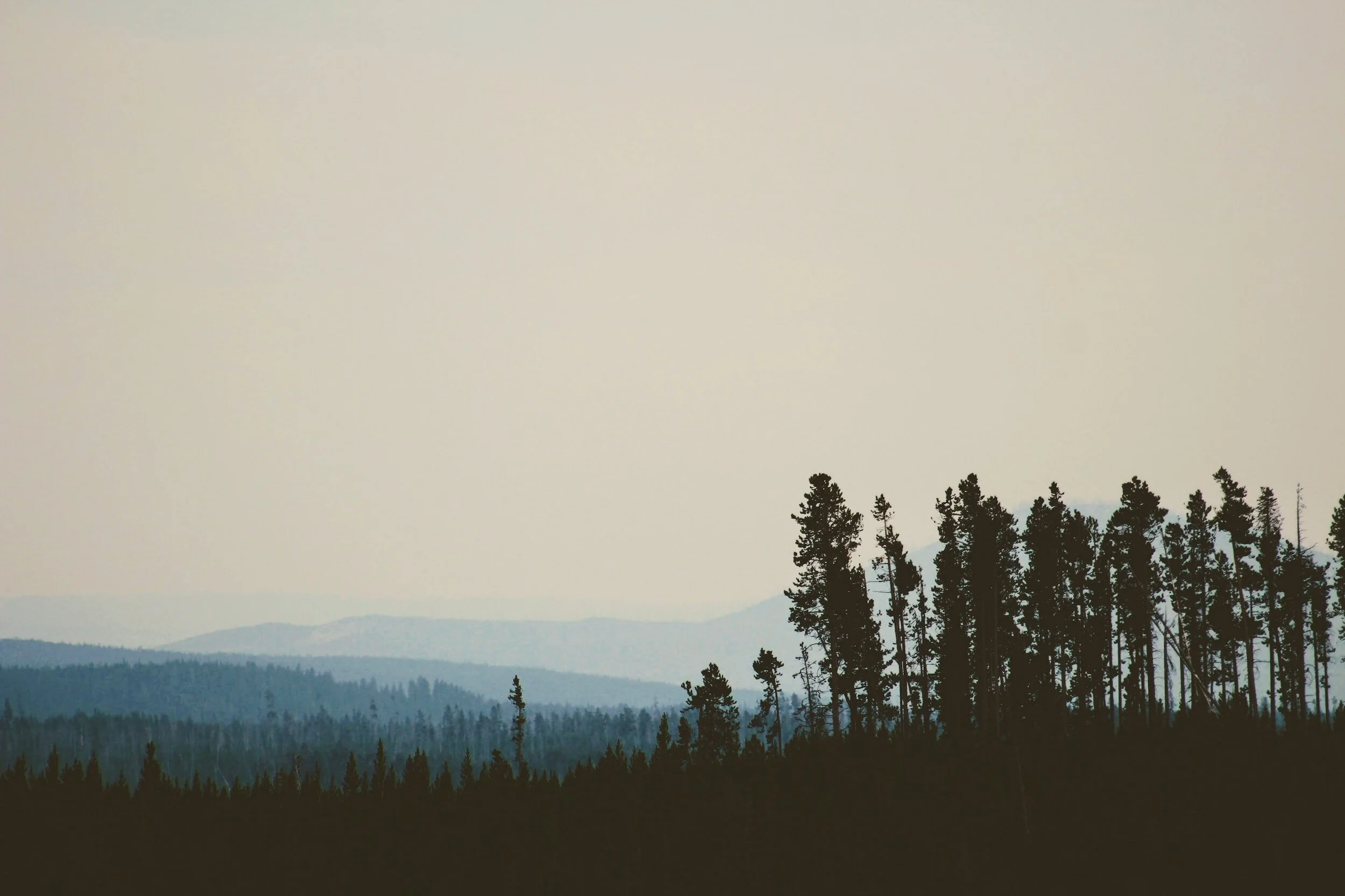 Gaslighting: How Resilience-Focused Therapies Can Help