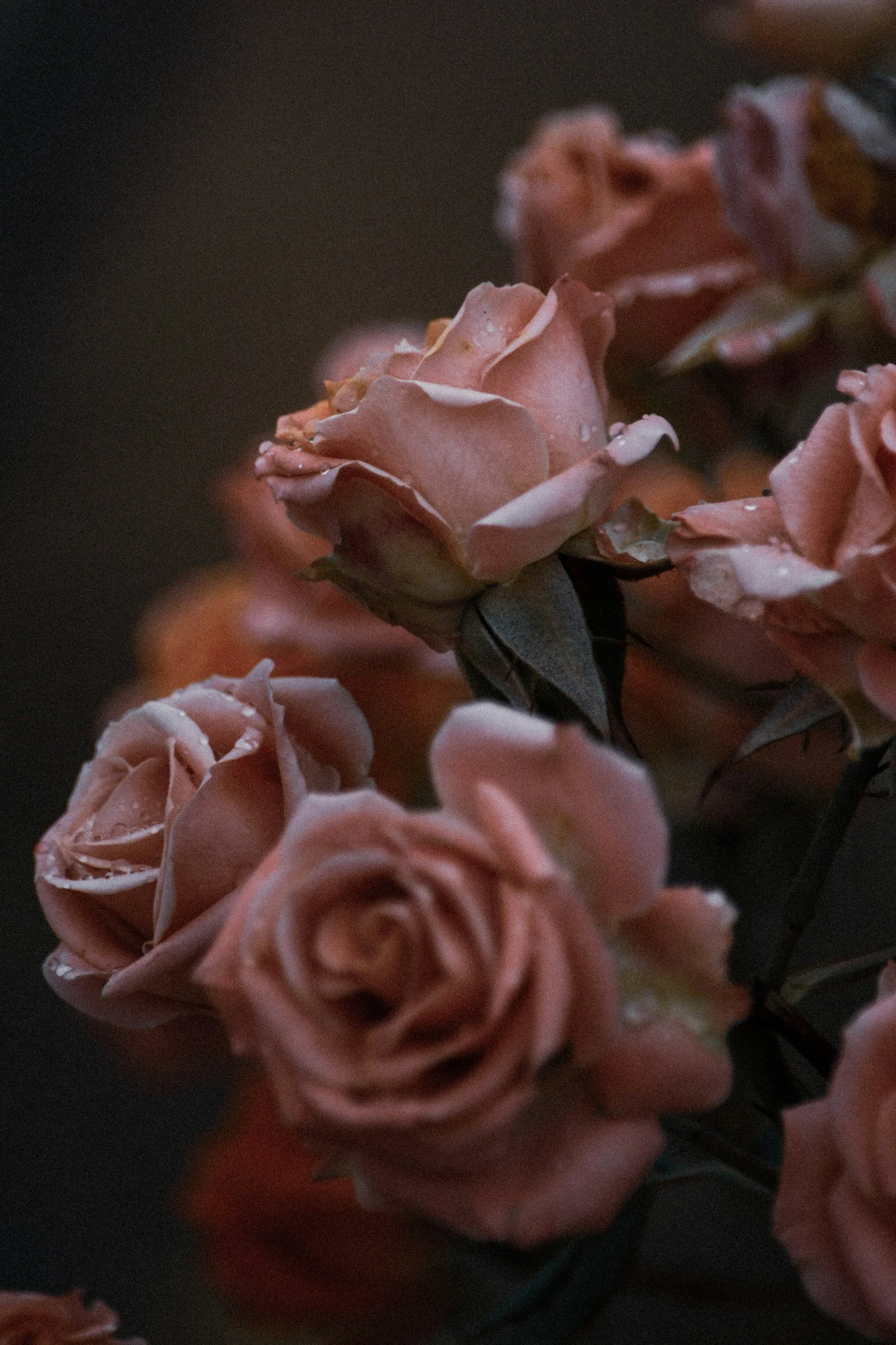 unsplash-image-VY5o8rg9lno.jpg