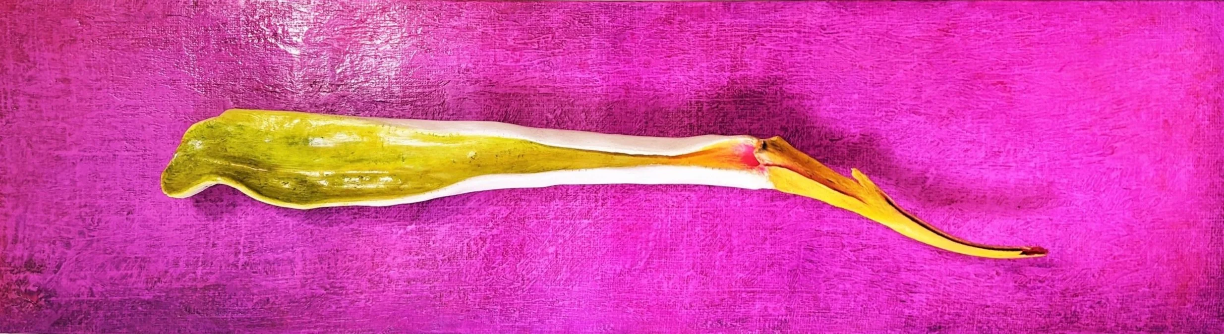 Genny Killin
Jawbone
Mixed Media
13” x 48” x 4”
$400