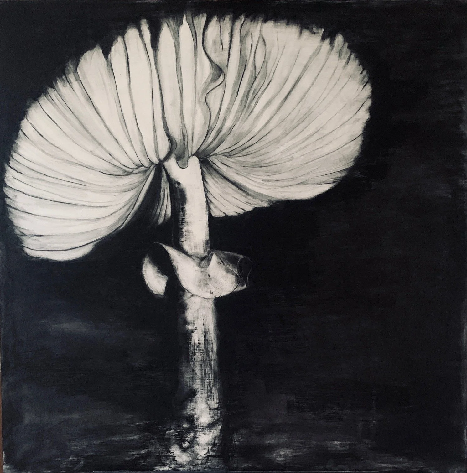 Kelly Harper Morehouse
I Can Can-Can Can You
Charcoal on Panel
36” x 36”
$2200