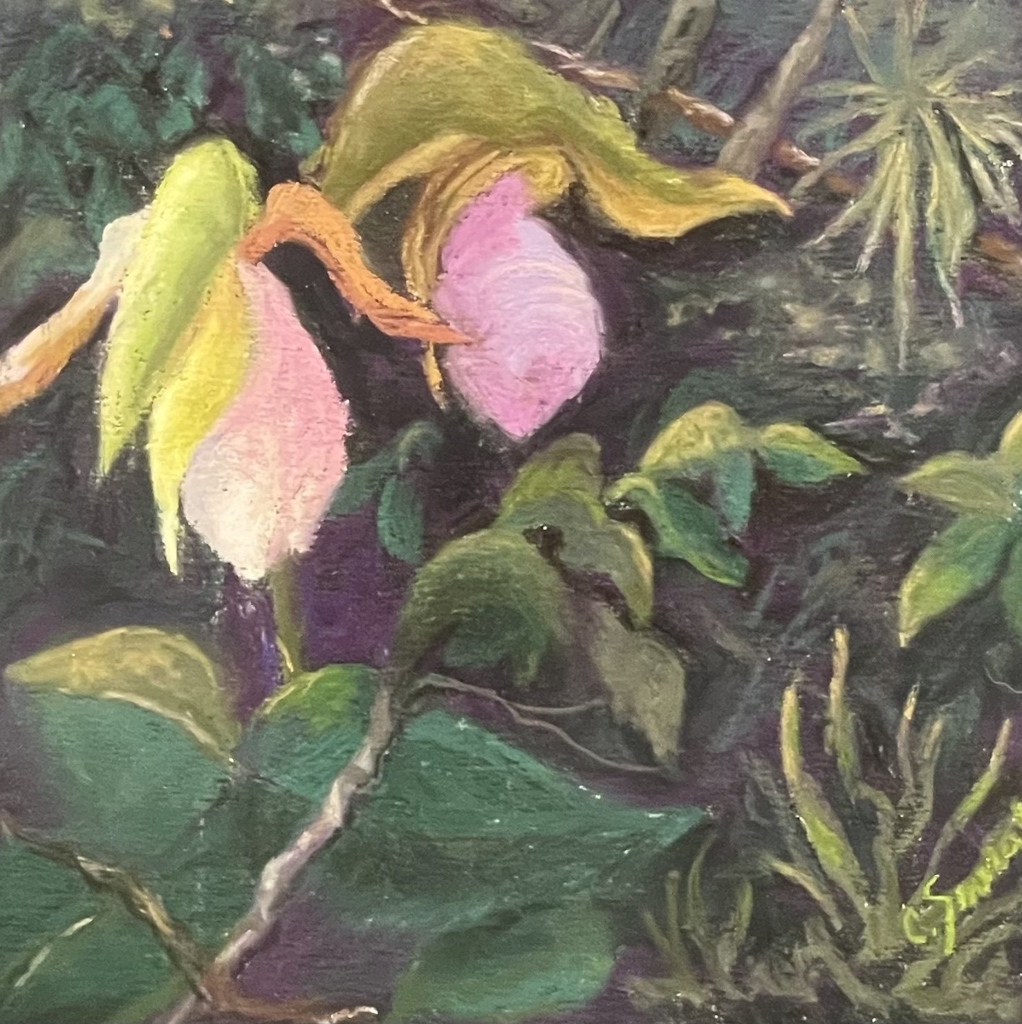 Carol Smeraldo
A Pair Of Lady Slippers
Pastel
$160