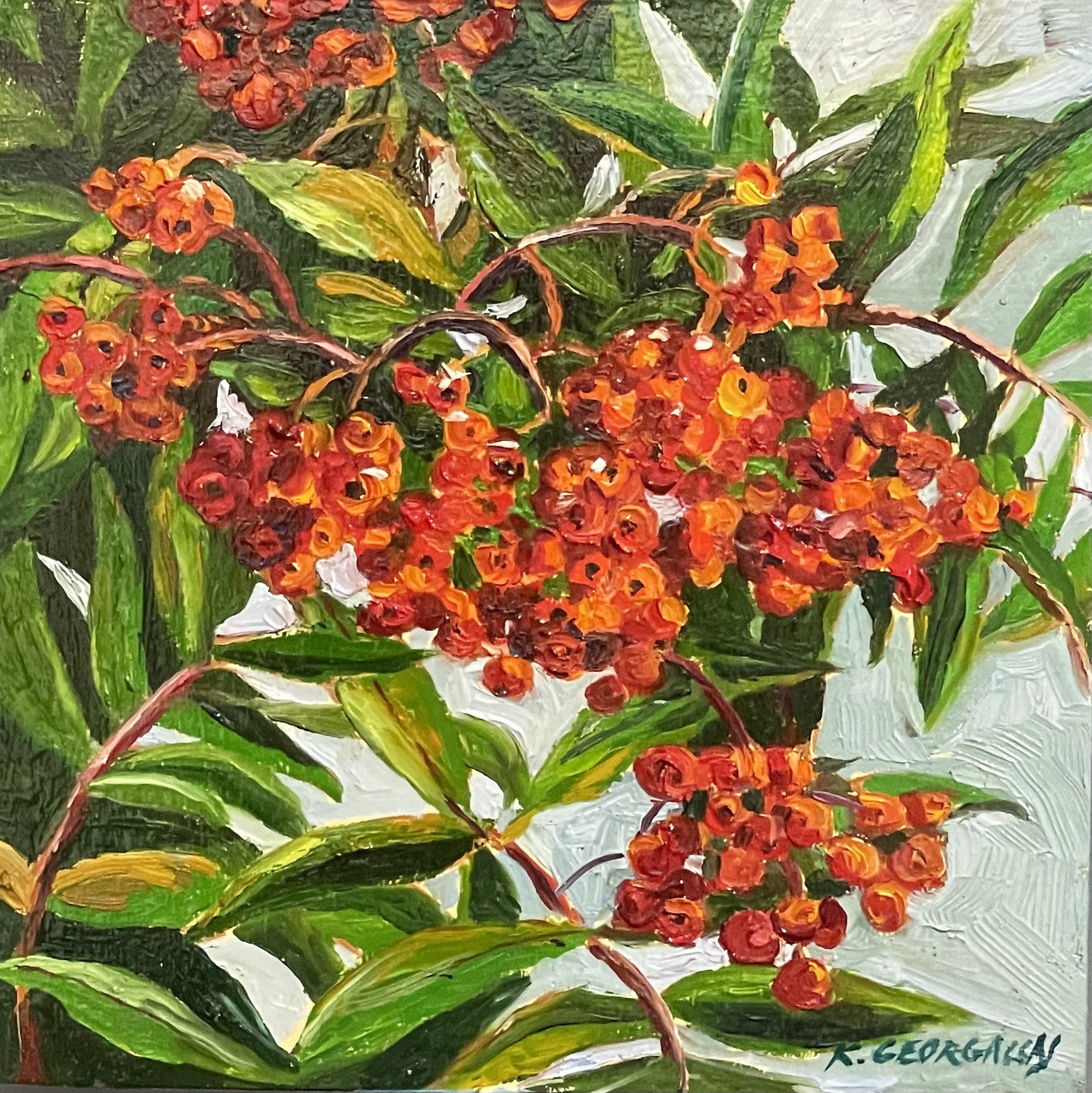 Kate Brown-Georgallas
Rowan Berries
Oil on Panel
$165