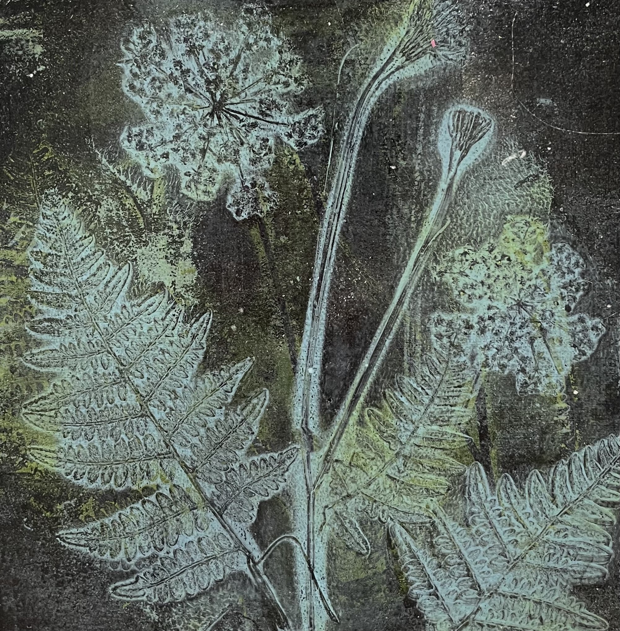 Andrea Pottyondy
Wildflowers 3
Monoprint on Panel
$100