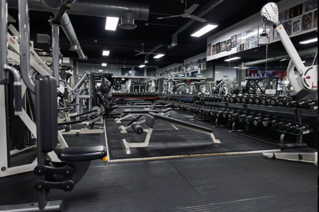 muscleworks 1.webp