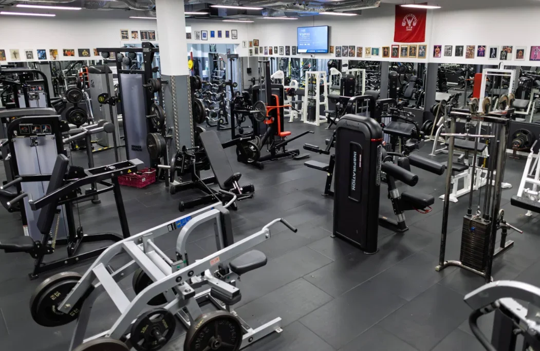 muscleworks 3.webp