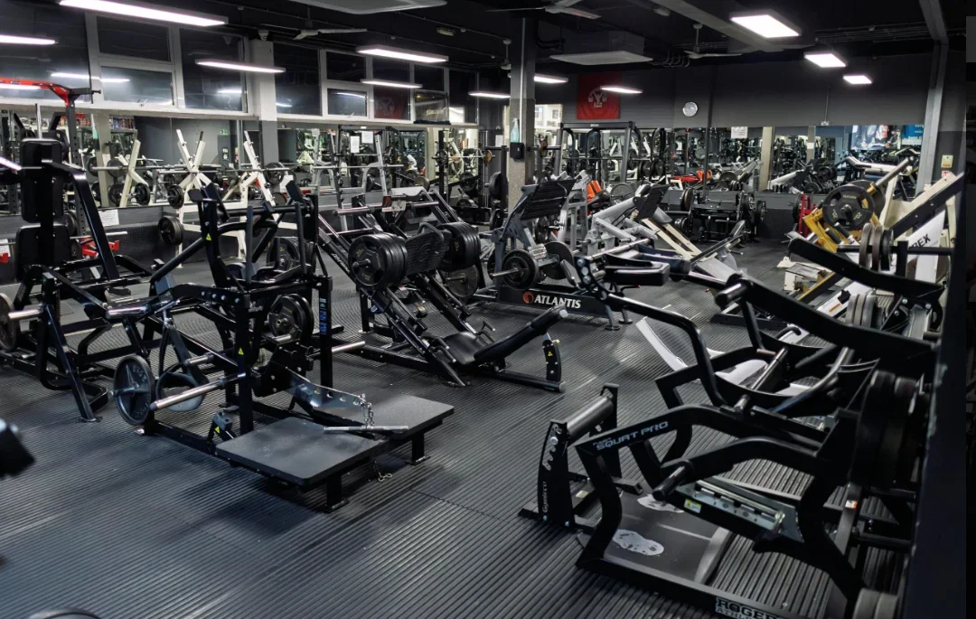 muscleworks 4.webp