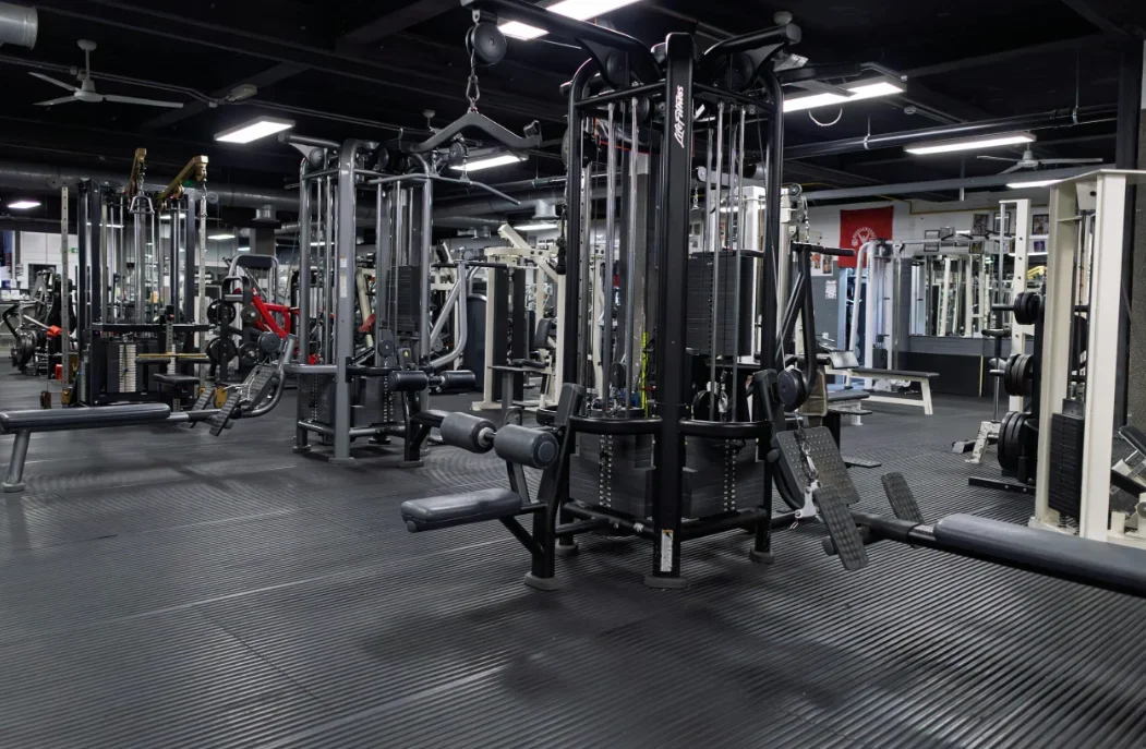 muscleworks 2.webp