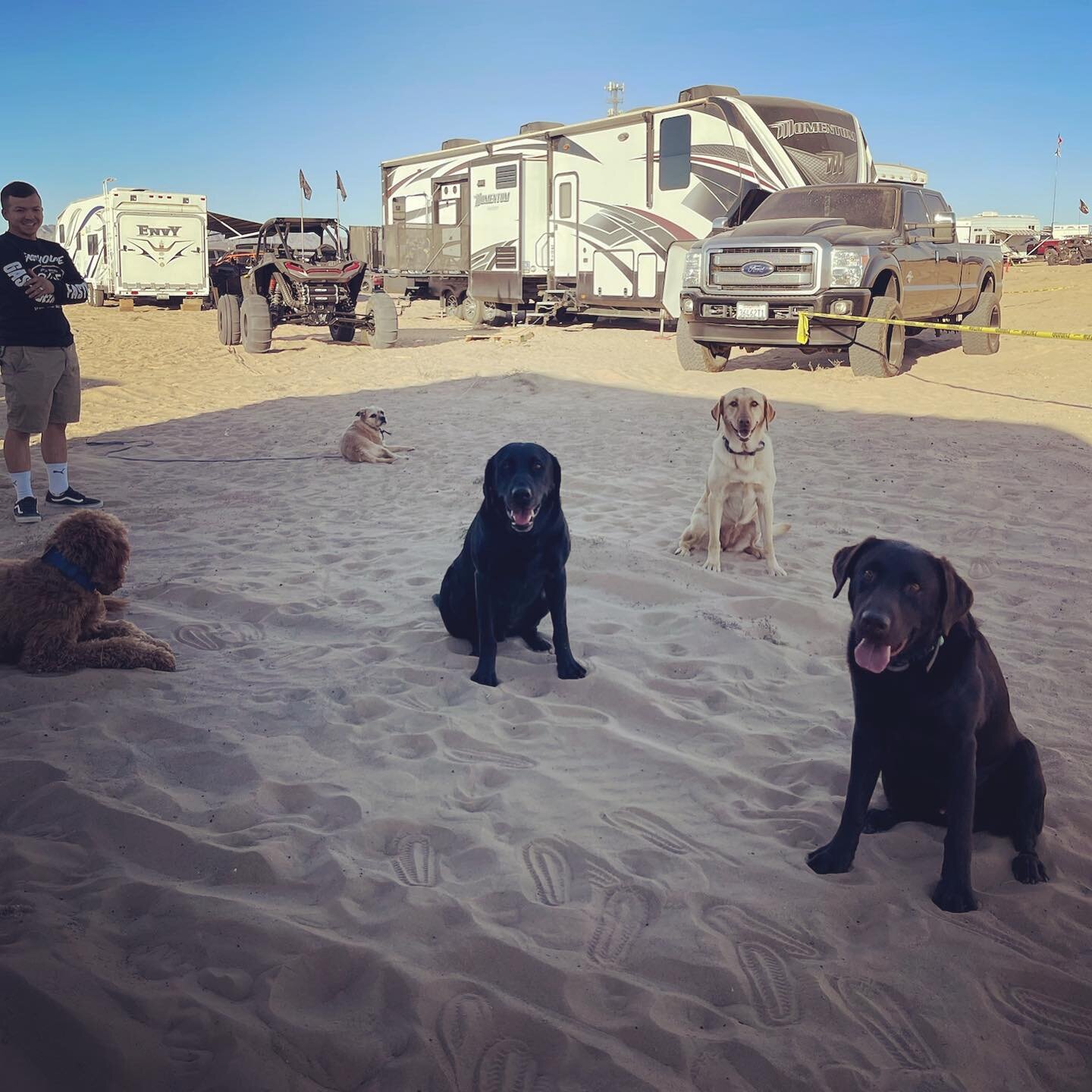 Happy Halloween 🎃 

Here at Paws Up Vacay we treat your dogs as our own. 

This weekend Lily and Oscar joined us for a camping trip. These two board with us every year for a few months at a time 😊