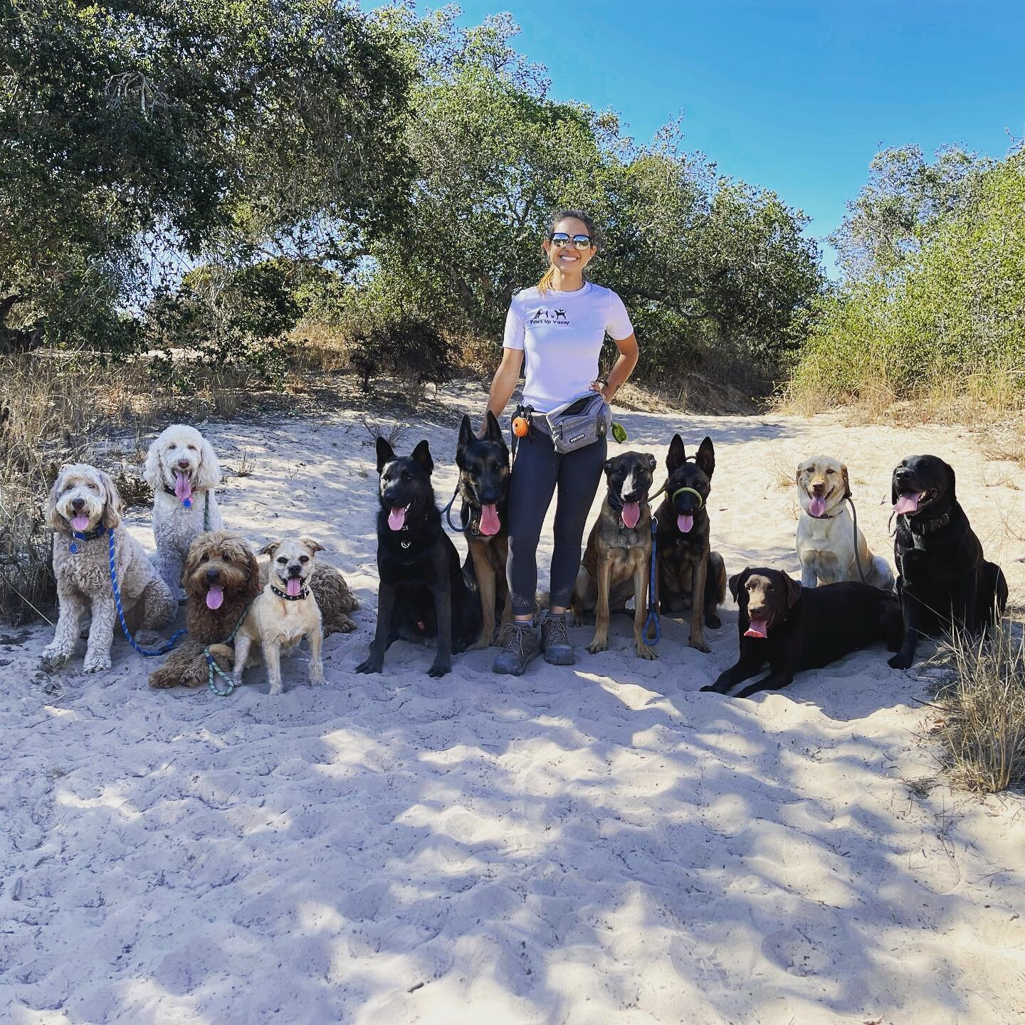 Just another day at Paws Up Vacay. Here you see 4 daycare dogs, 2 monthly boarders, 2 board and trains, and our 3 personal dogs. Everyday we do a fun activity and today was hiking :) #labradoodle #terrier #germansheppard #belgianmalinois #labradorret