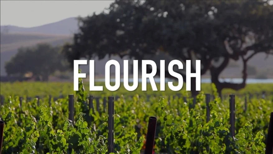 Flourish: A Study of the Fruit of the Spirit