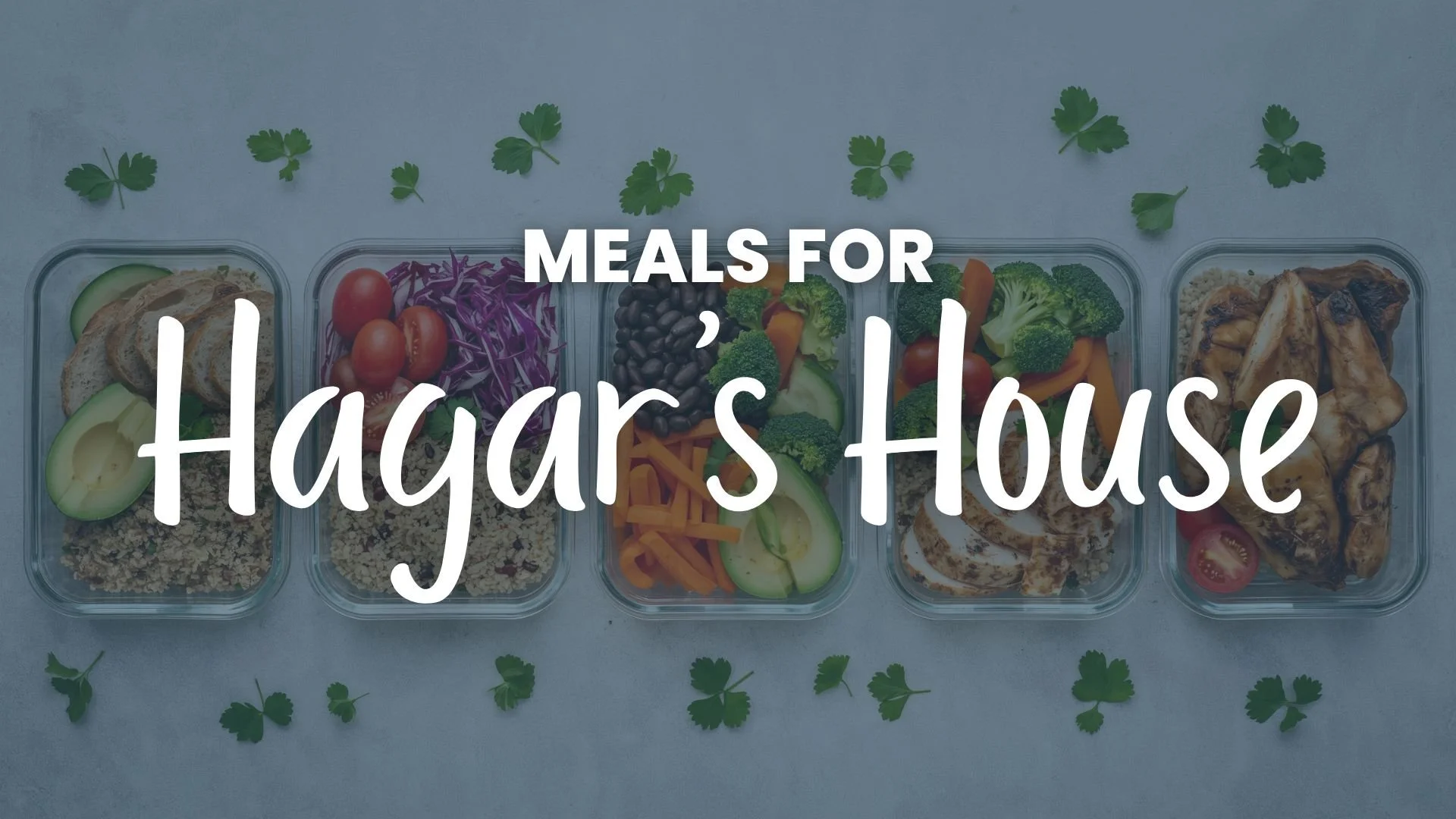 Meals for Hagar's House