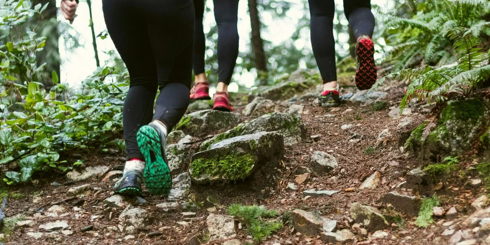 Women's North Georgia Day Hike