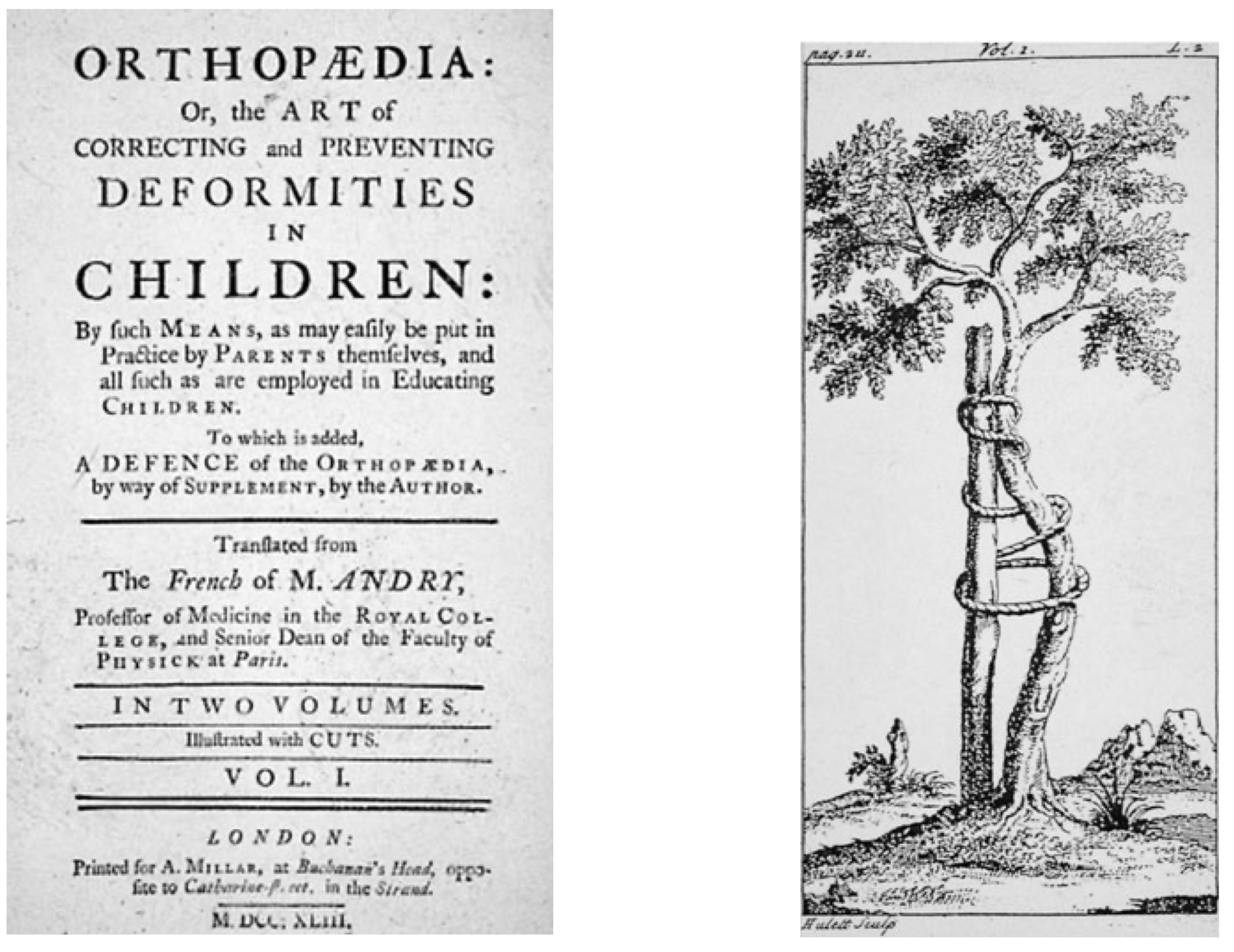 What’s In A Name? OR: What should “ORTHODONTICS” be called, anyway?