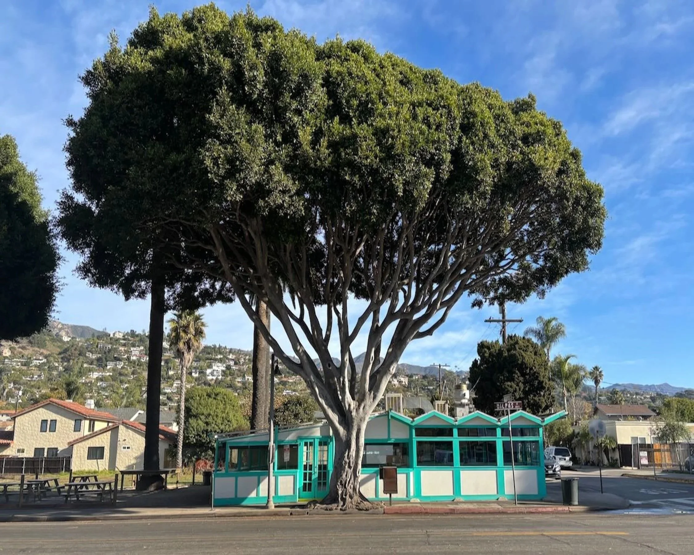 July, 2025 - March 2026  FARE TRADE exhibition with Brett Leigh Dicks and Irene Ramirez at the Santa Barbara City Hall Gallery. "La Super Rica", Santa Barbara, CA 
 2024