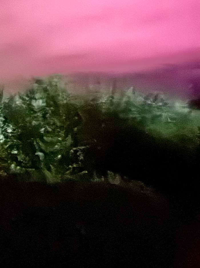                                         1.24.2026_6:09 am