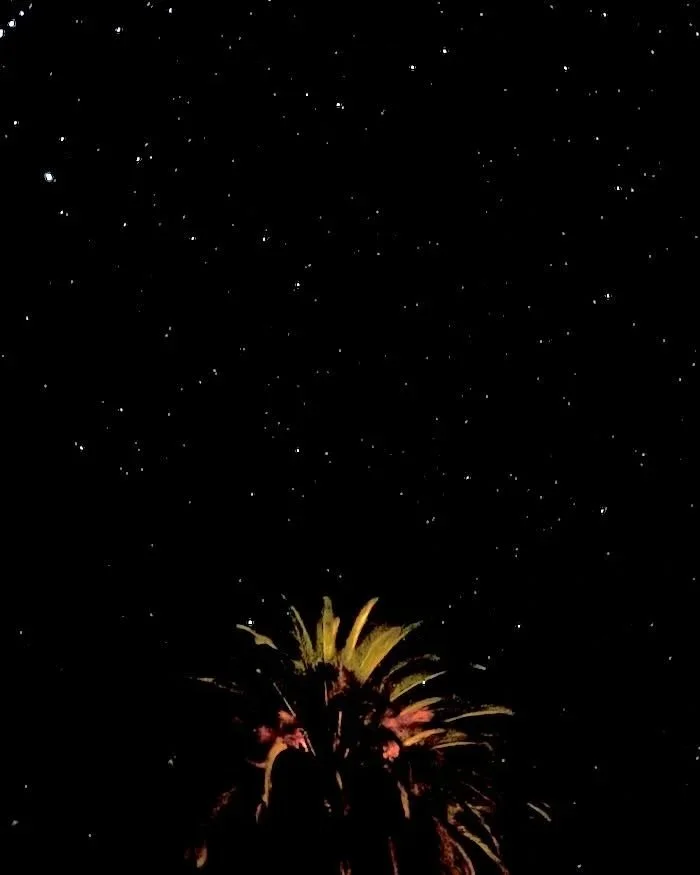                                     3.26.2026_20:09 pm