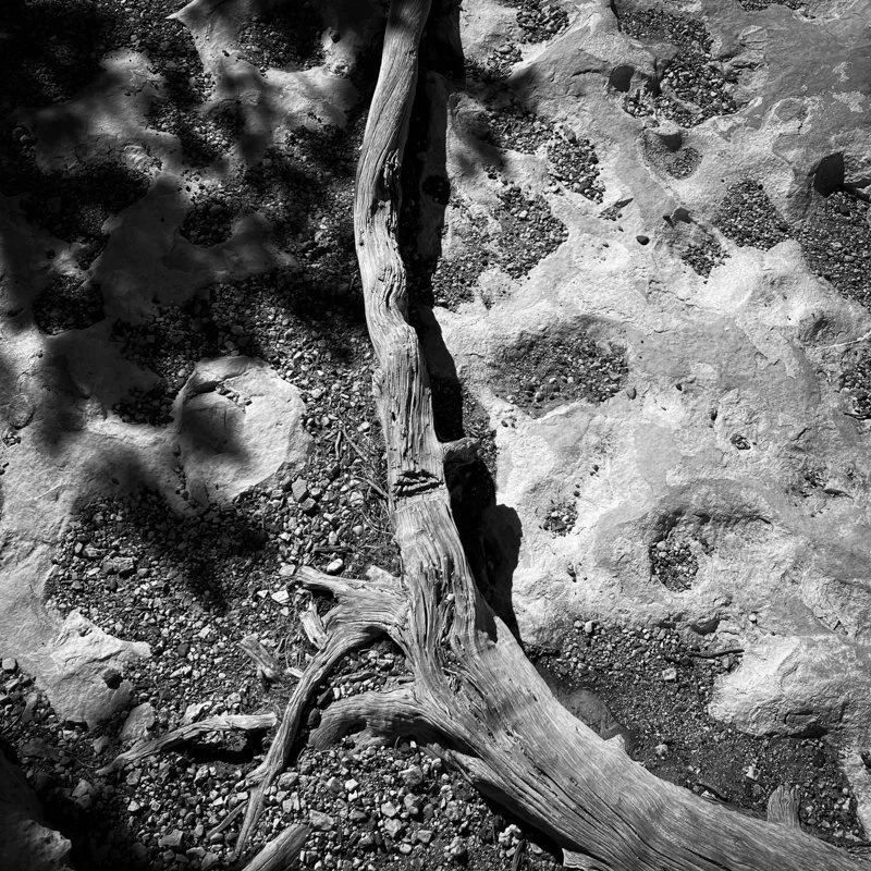 Stone and Rock: Grand Canyon